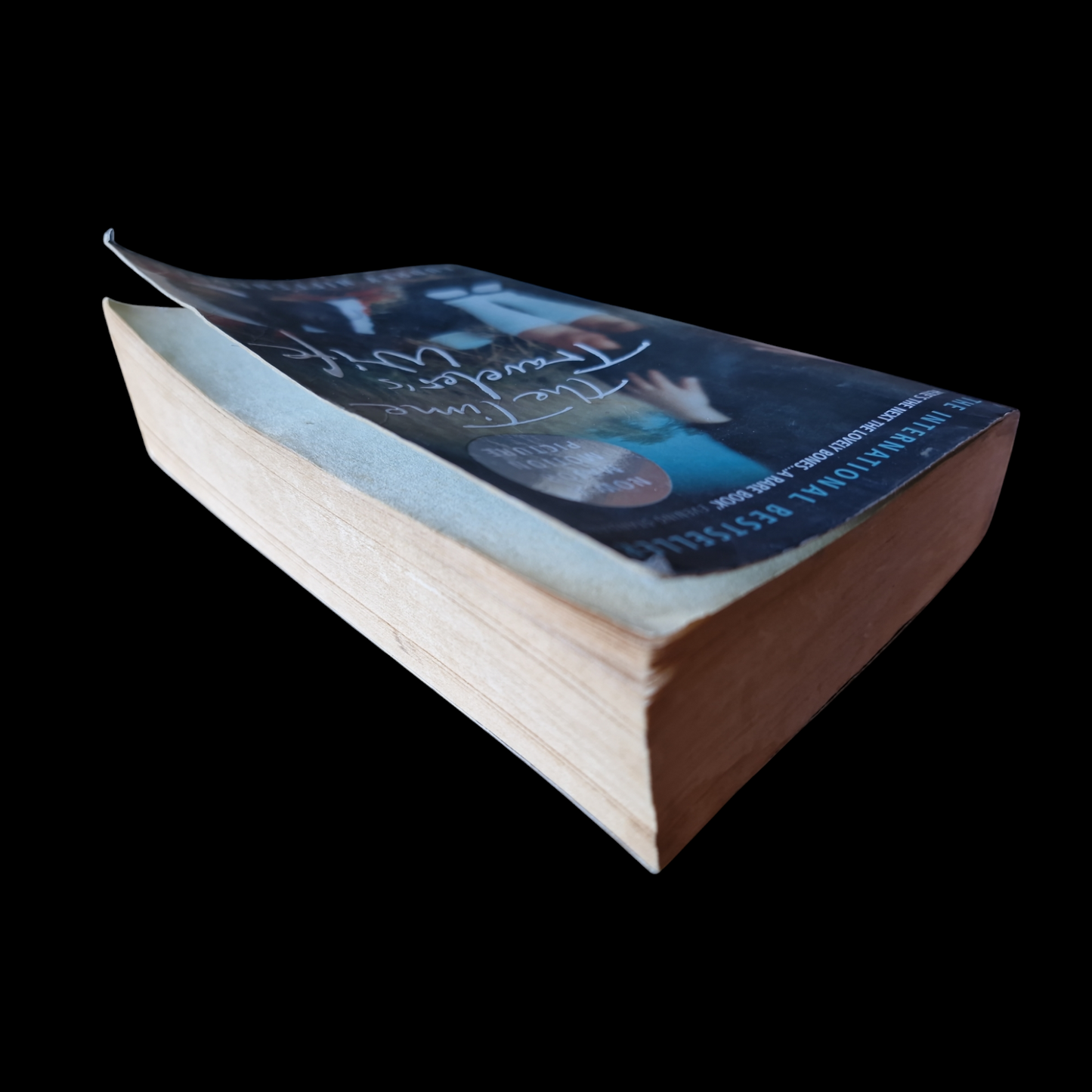 Audrey Niffenegger- The Time Traveler's Wife image 5