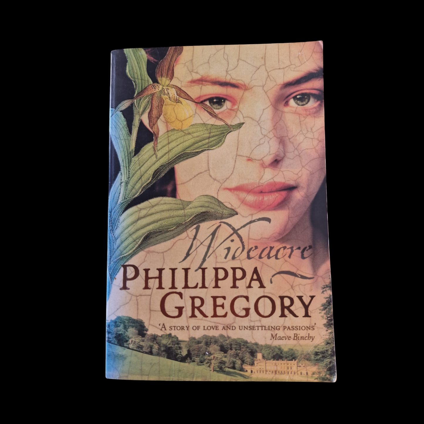 Philippa Gregory- Wideacre image 1