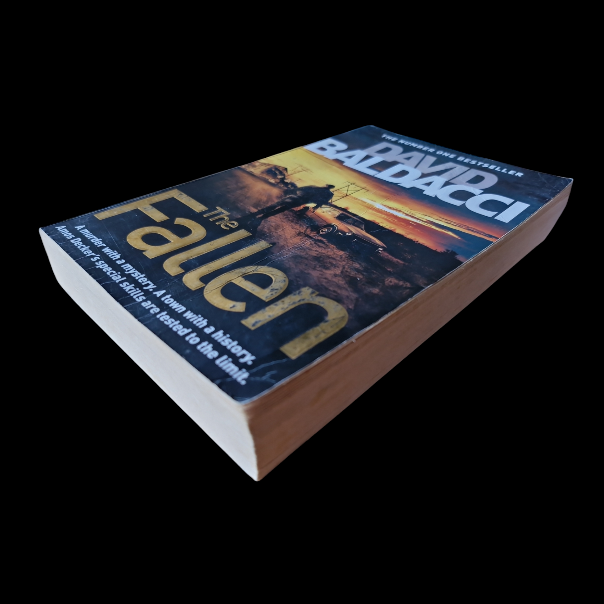 David Baldacci- The Fallen image 4