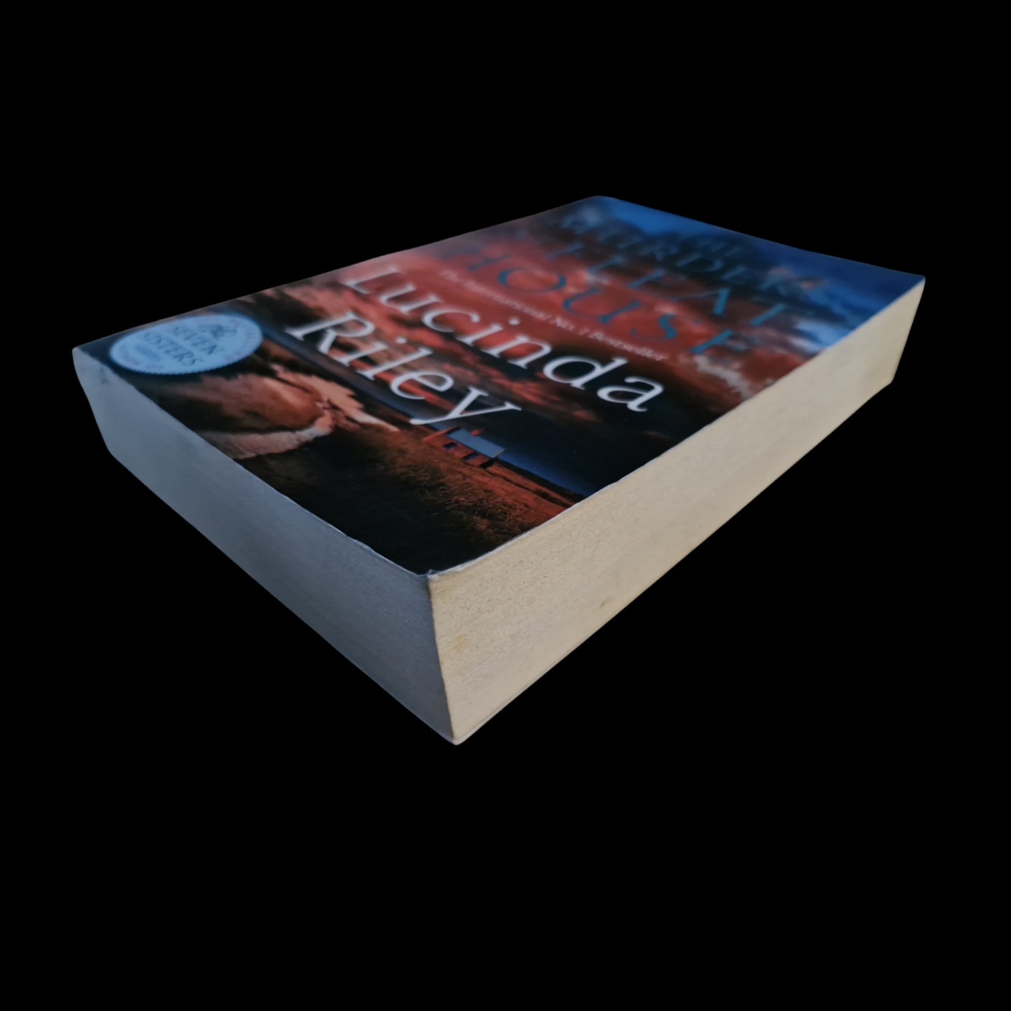 Lucinda Riley- The Murders At Fleat House image 4