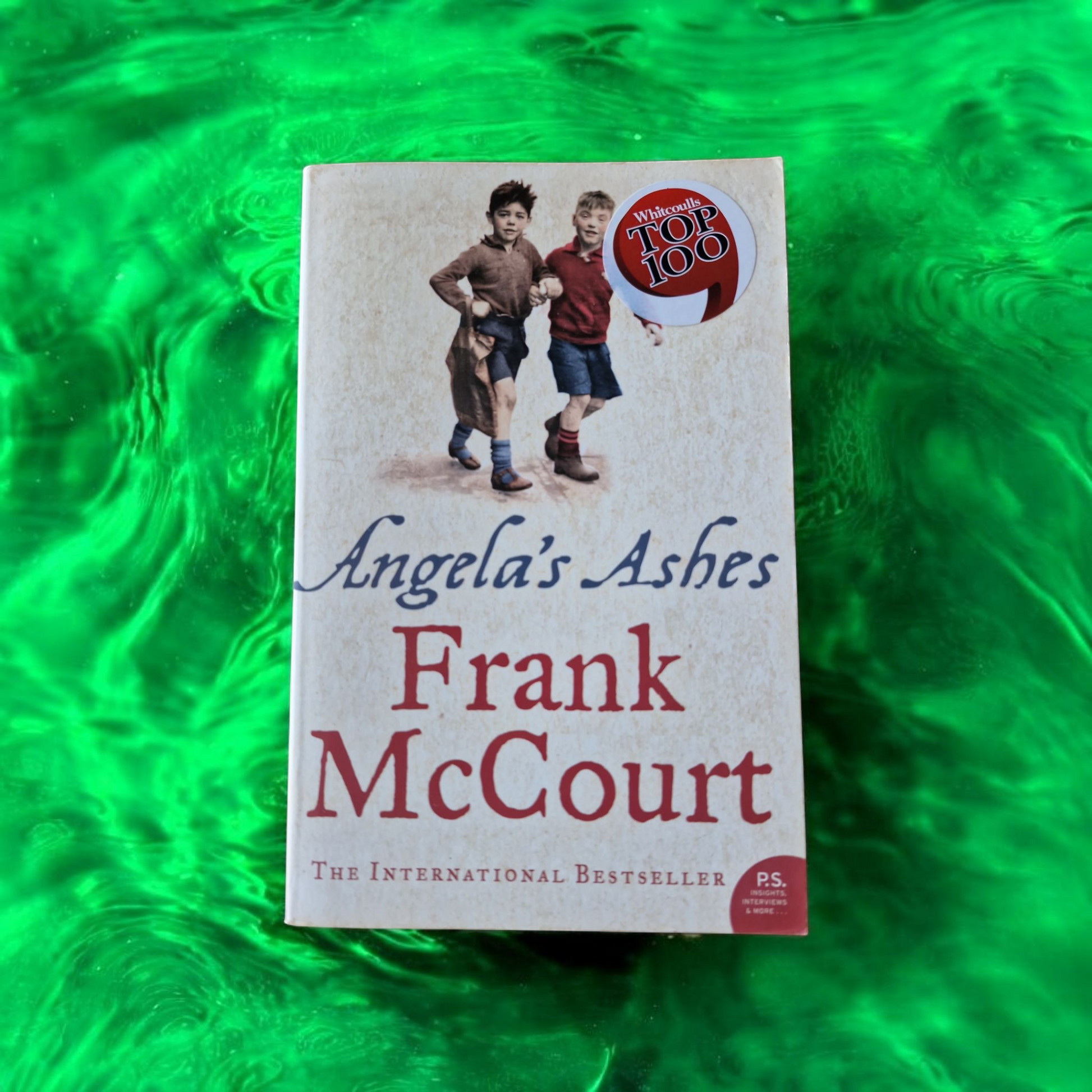 Frank McCourt- Angela's Ashes image 0