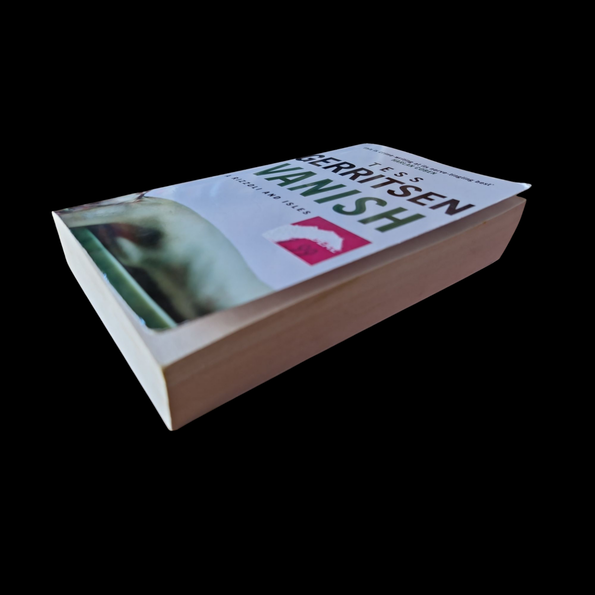 Tess Gerritsen- Vanish image 4