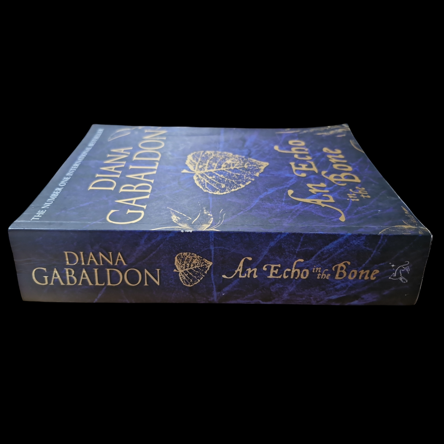 Diana Gabaldon- An Echo In The Bone image 3