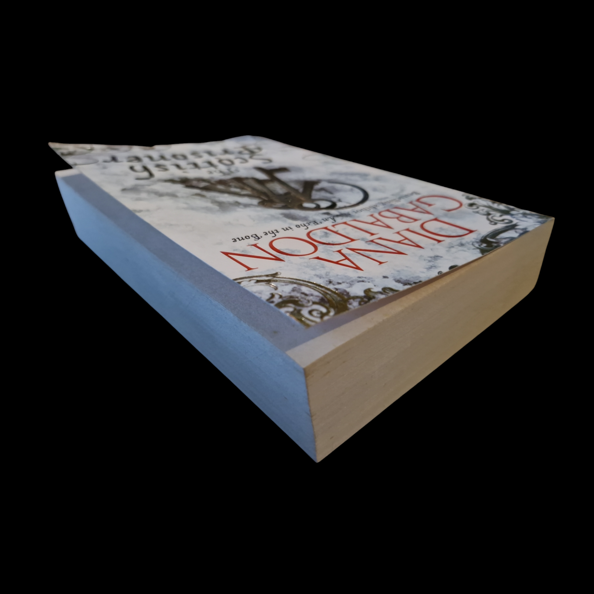 Diana Gabaldon- The Scottish Prisoner image 5