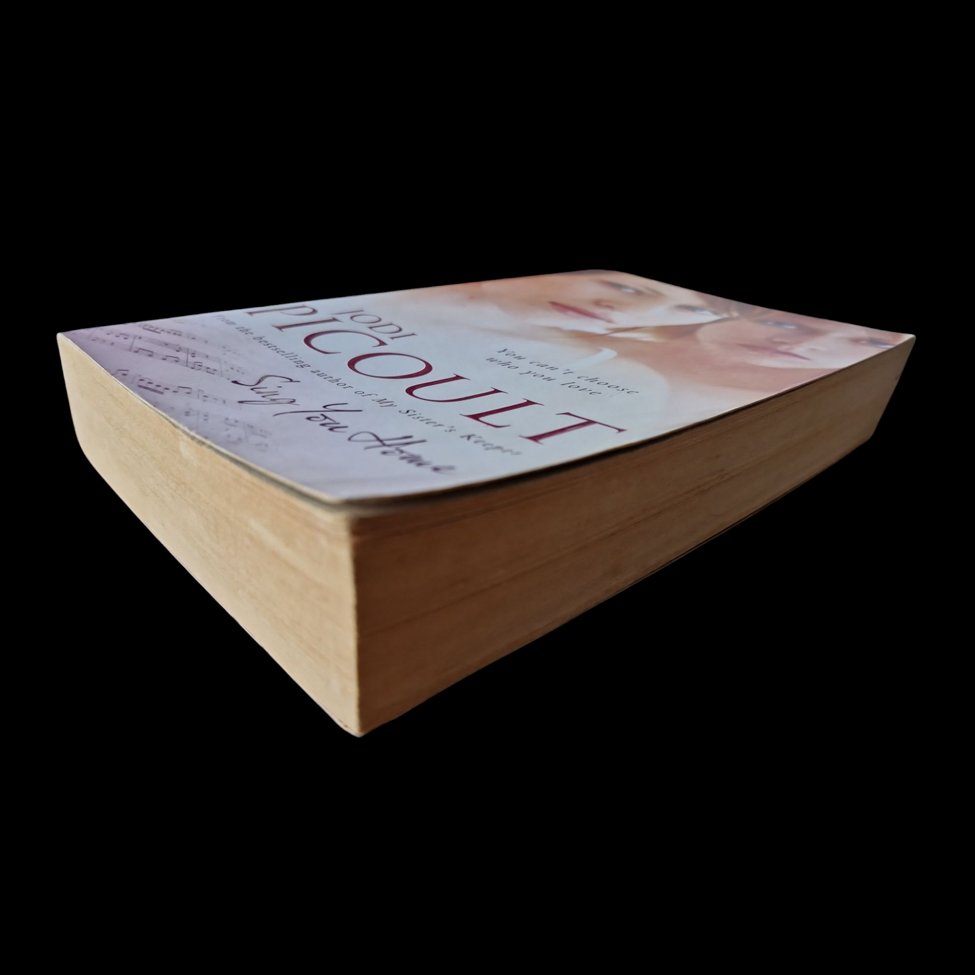 Jodi Picoult- Sing You Home image 4