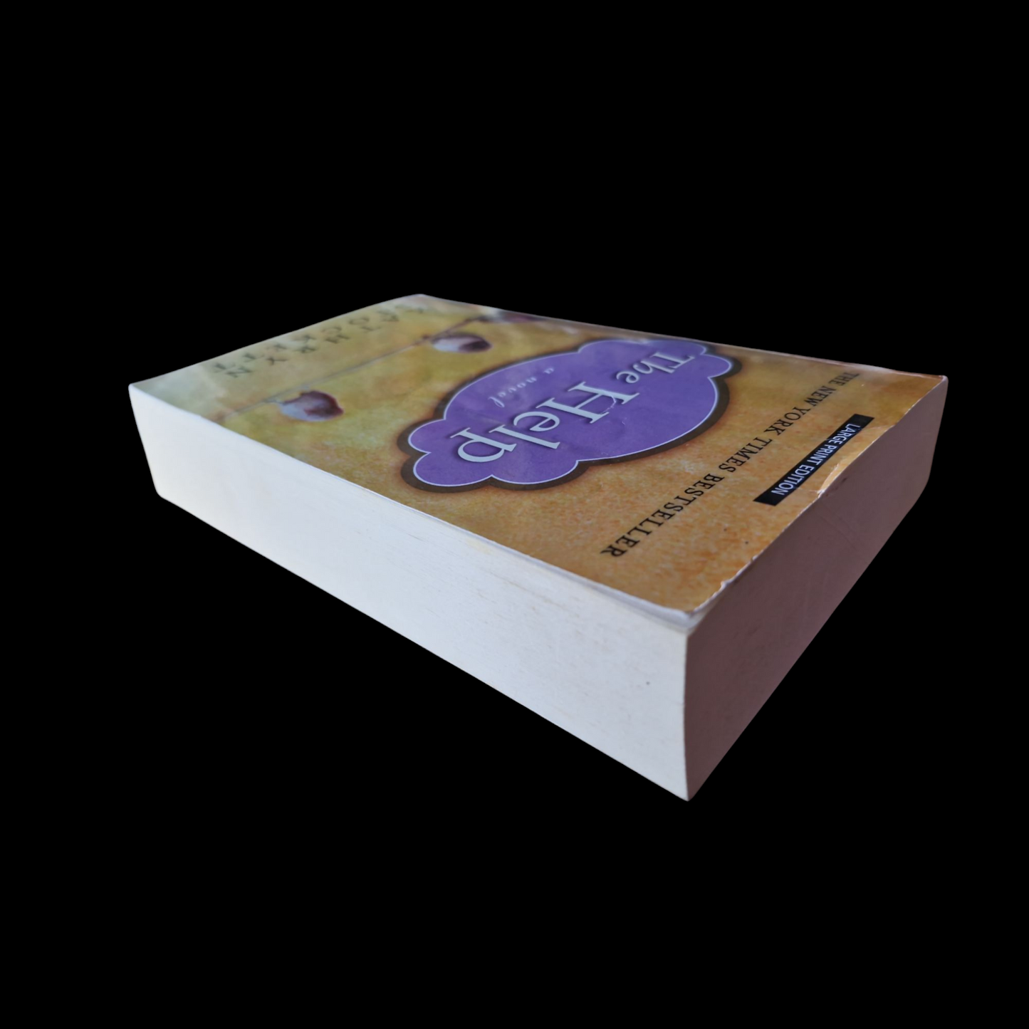 Kathryn Stockett- The Help image 5