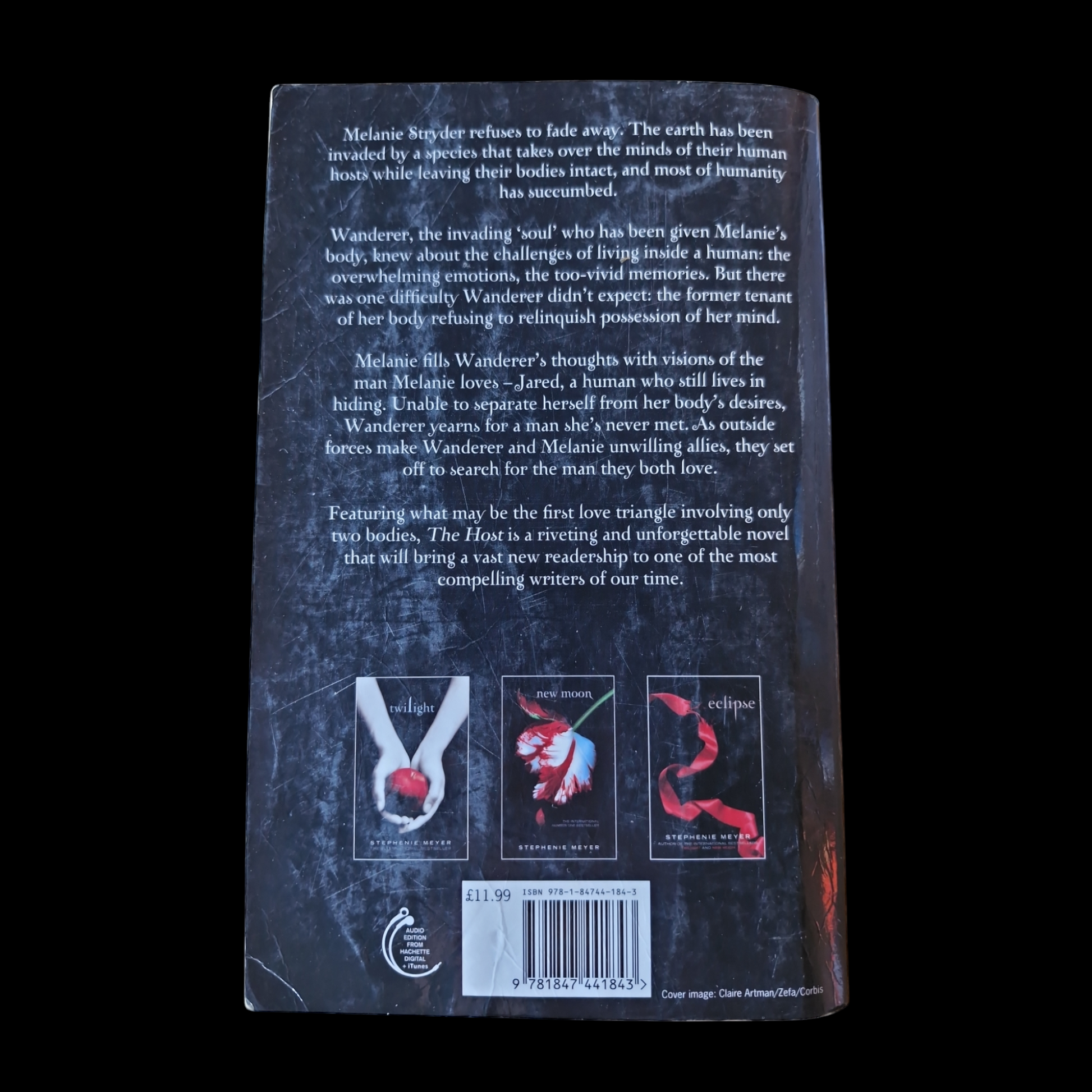 Stephanie Meyer- The Host image 2