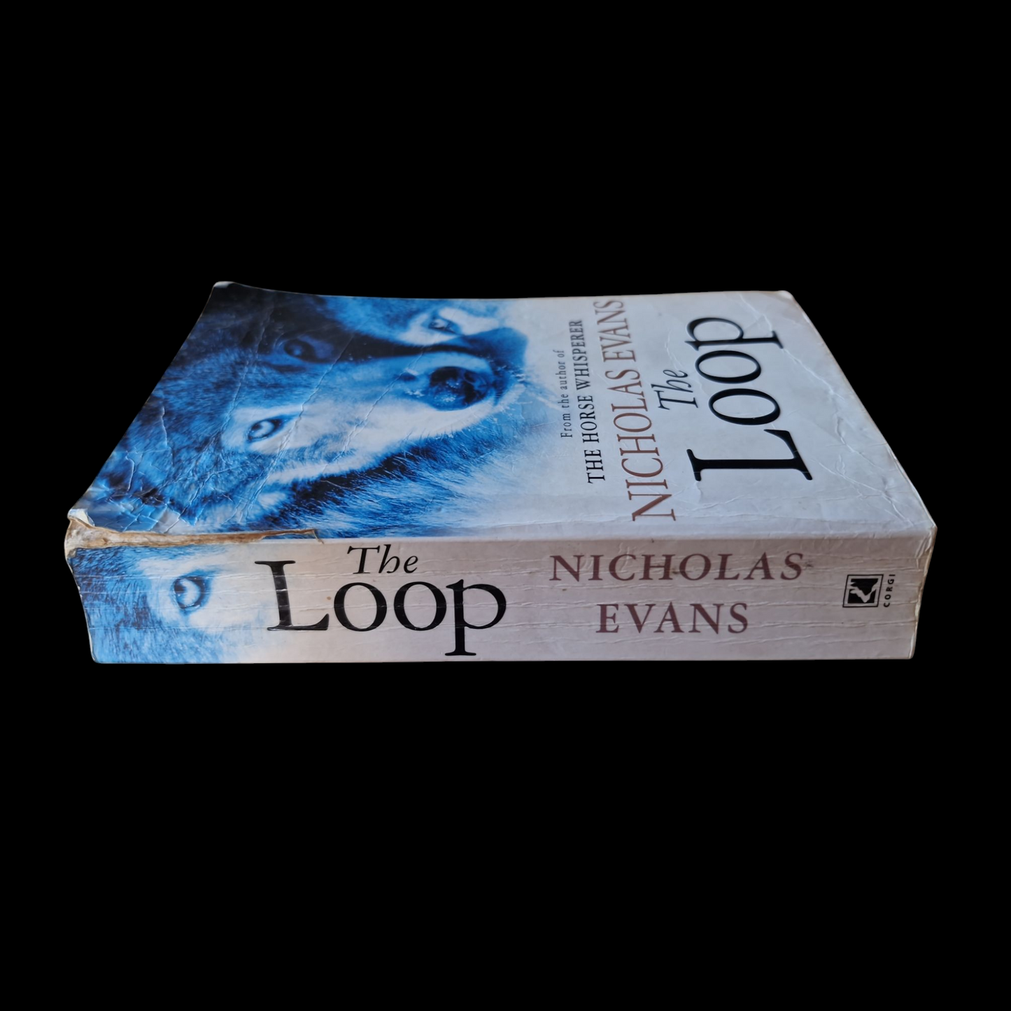 Nicholas Evans- The Loop image 3
