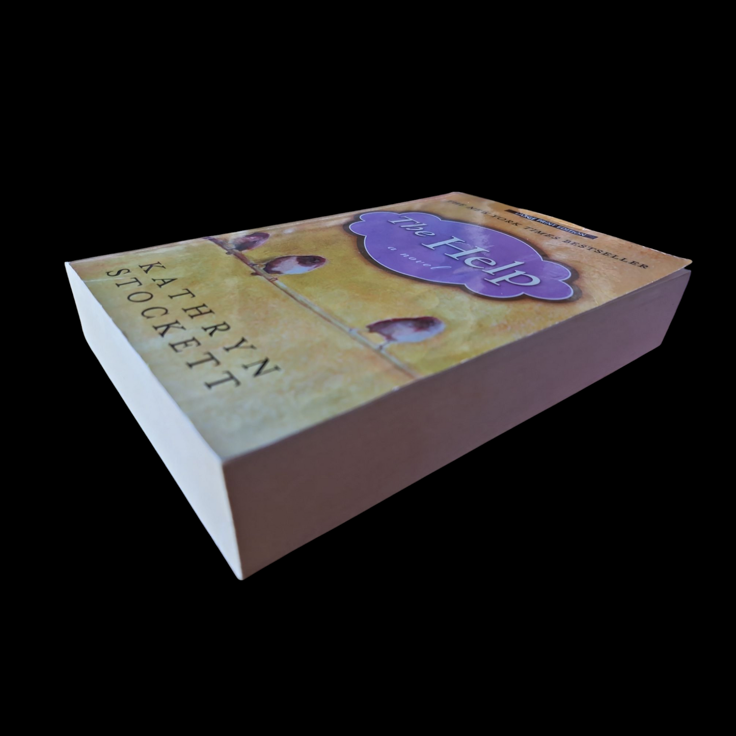 Kathryn Stockett- The Help image 4