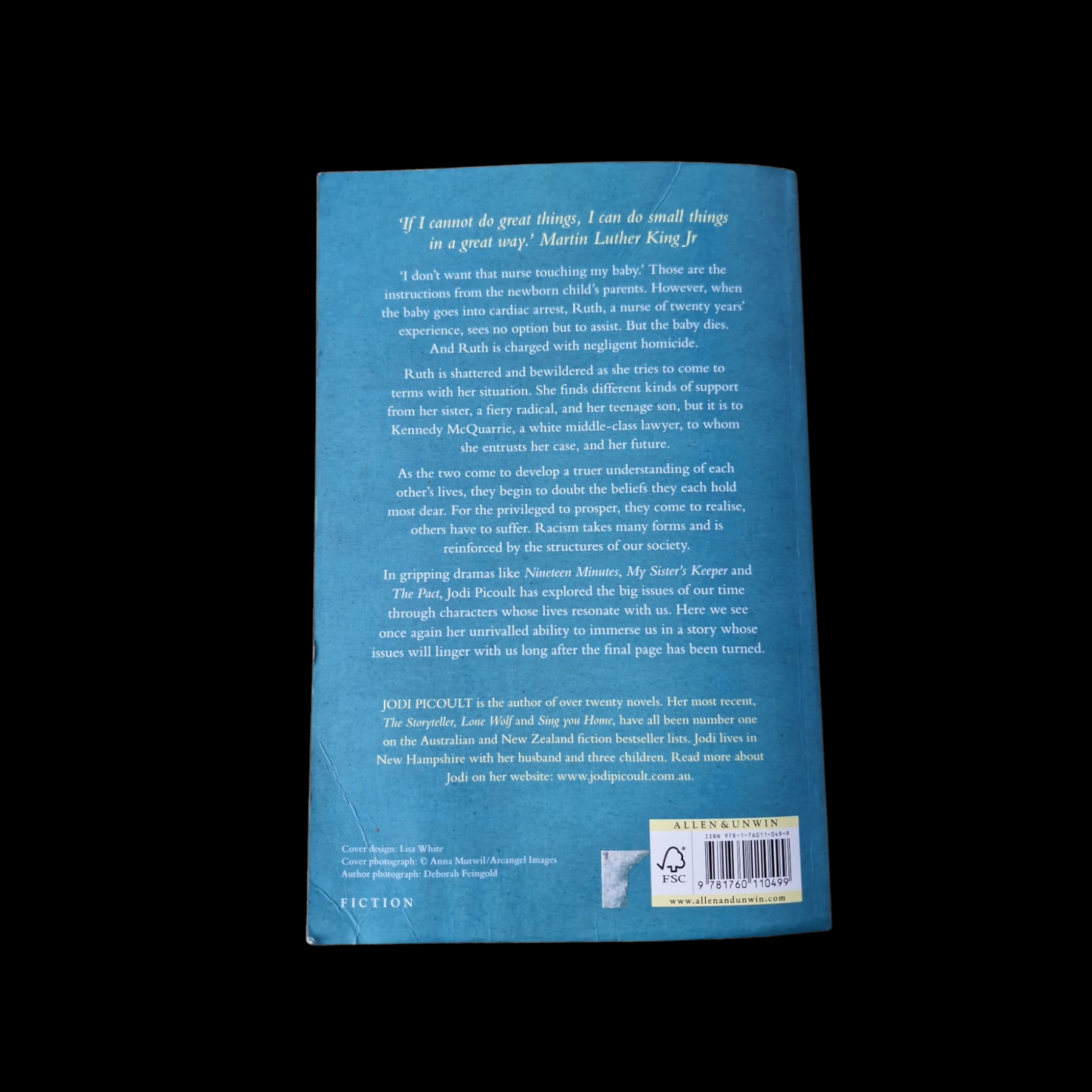 Jodi Picoult- Small Great Things image 2