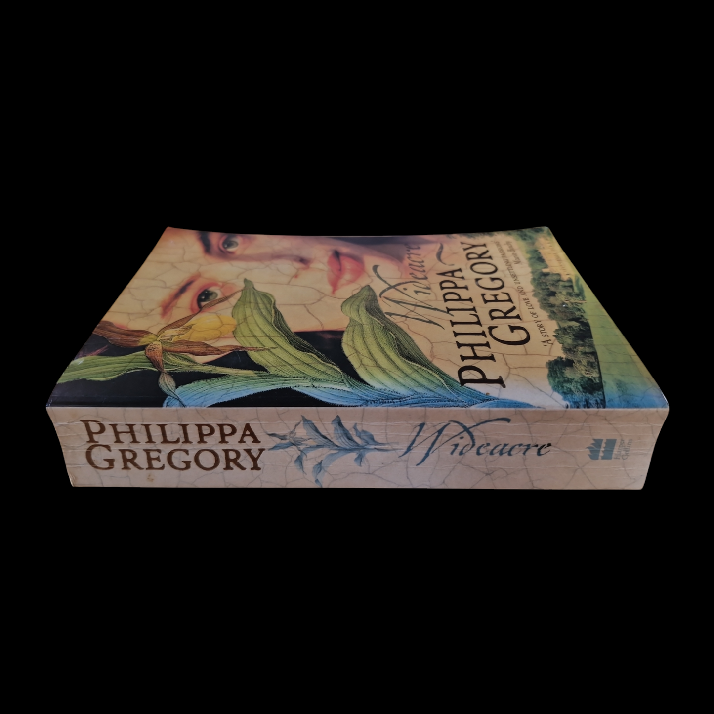Philippa Gregory- Wideacre image 3
