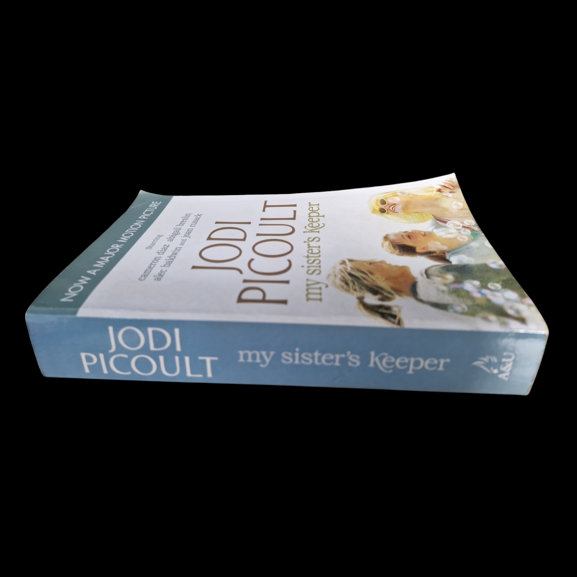 Jodi Picoult- My Sister's Keeper  image 3
