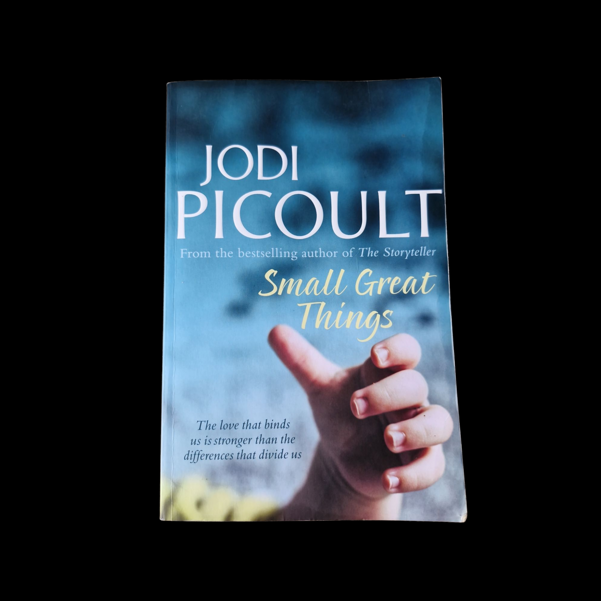 Jodi Picoult- Small Great Things image 1