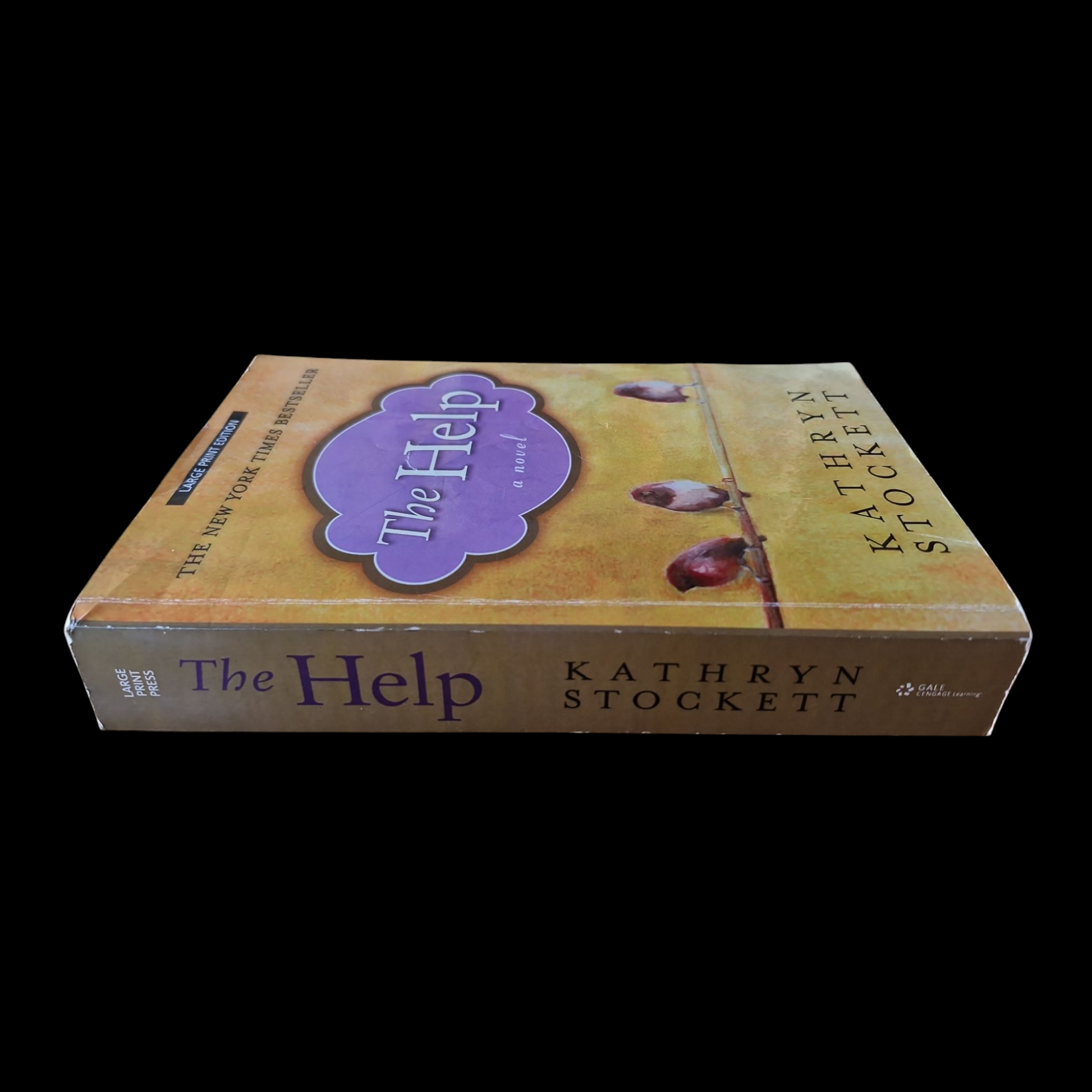 Kathryn Stockett- The Help image 3