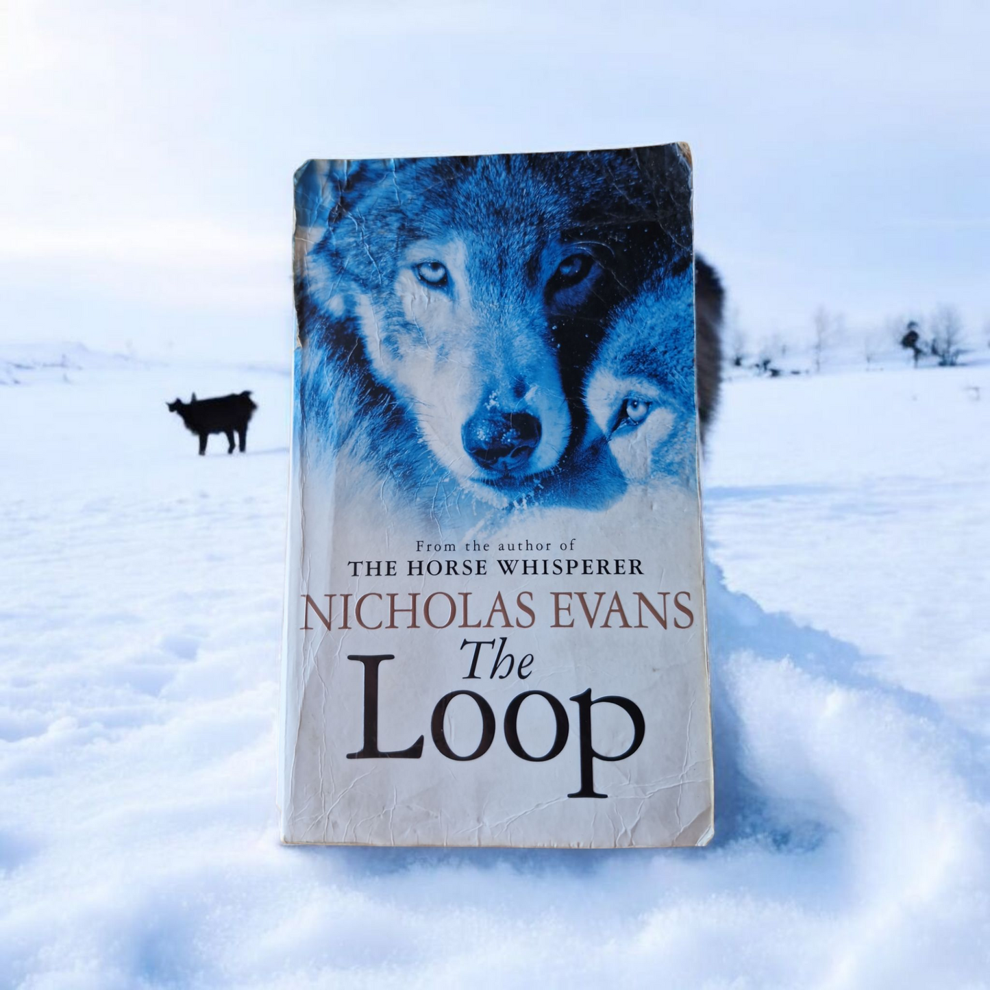 Nicholas Evans- The Loop image 0