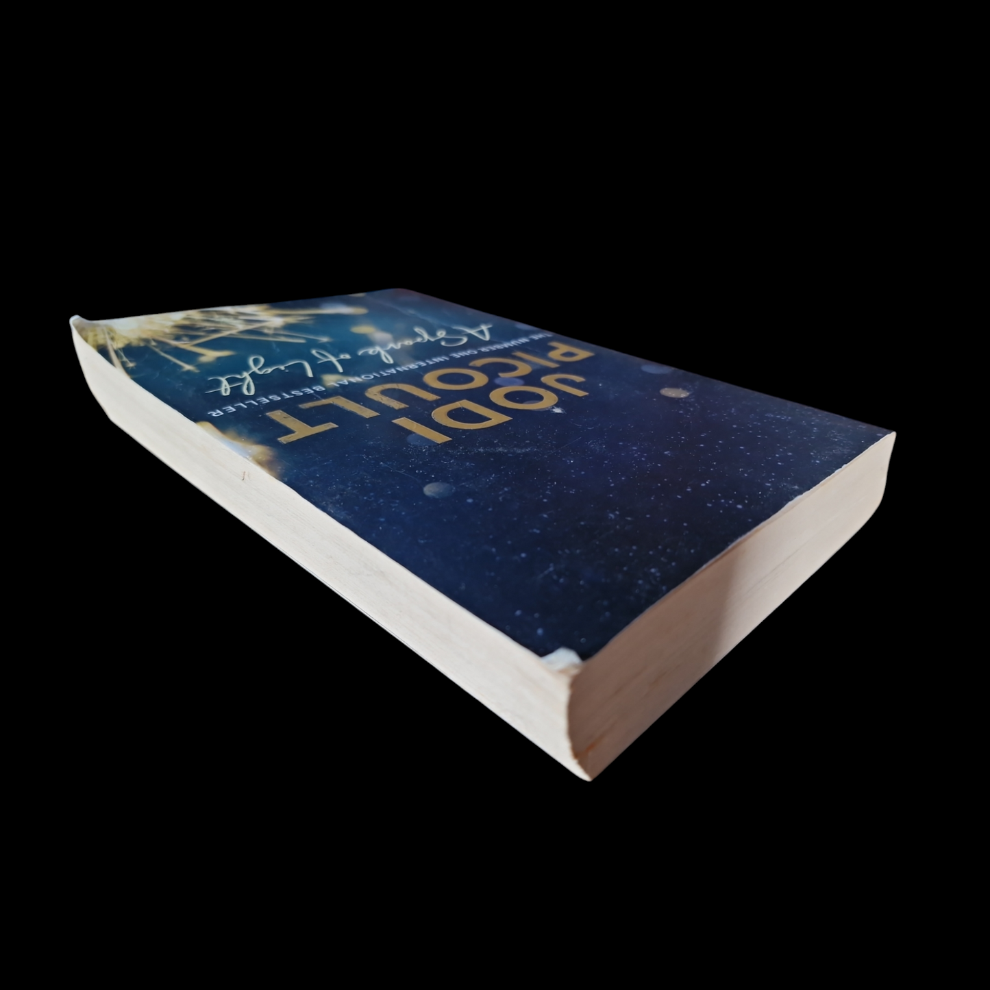 Jodi Picoult- A Sparkle Of Light image 5