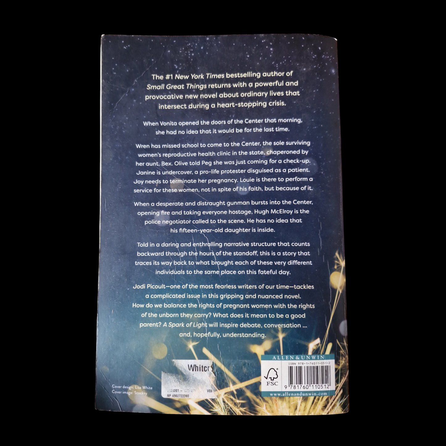 Jodi Picoult- A Sparkle Of Light image 2