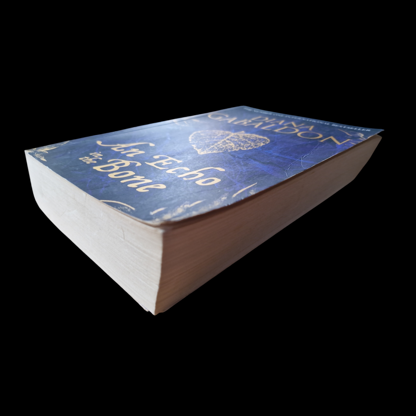 Diana Gabaldon- An Echo In The Bone image 4