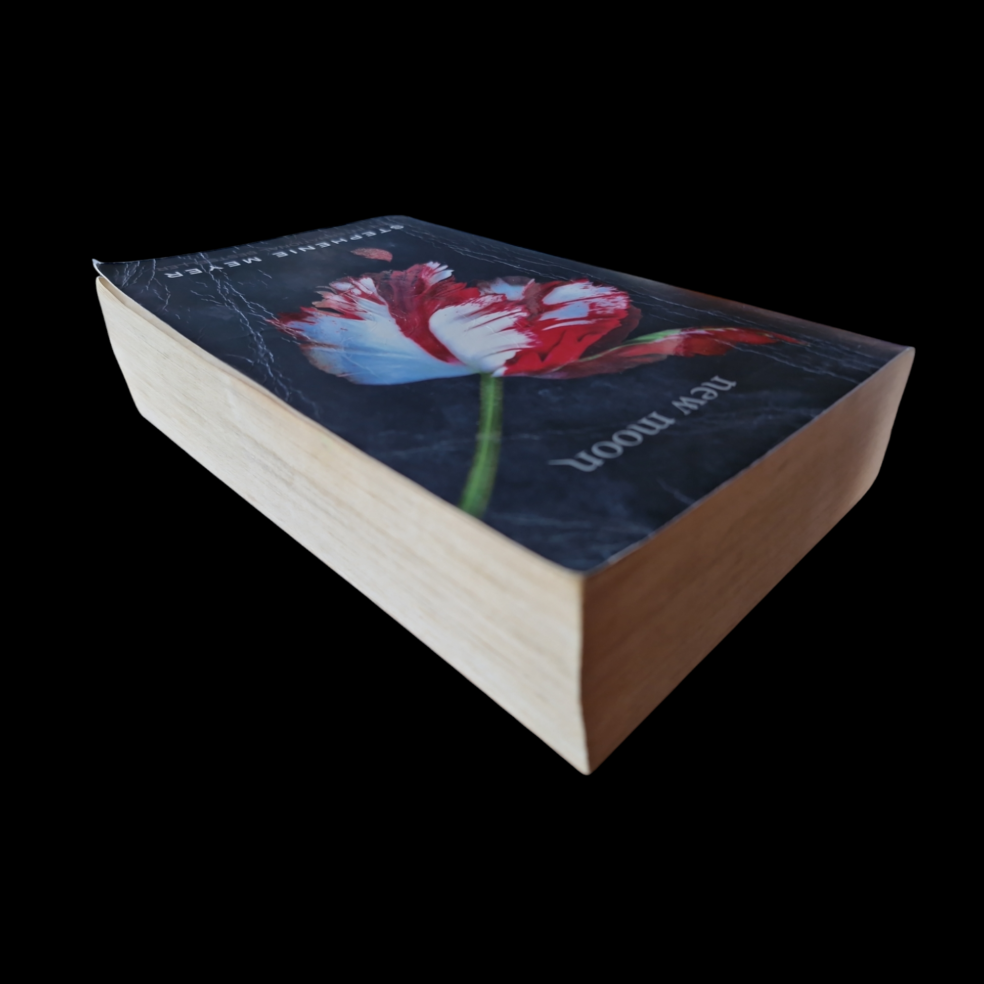 Stephanie Meyer- New Moon image 5