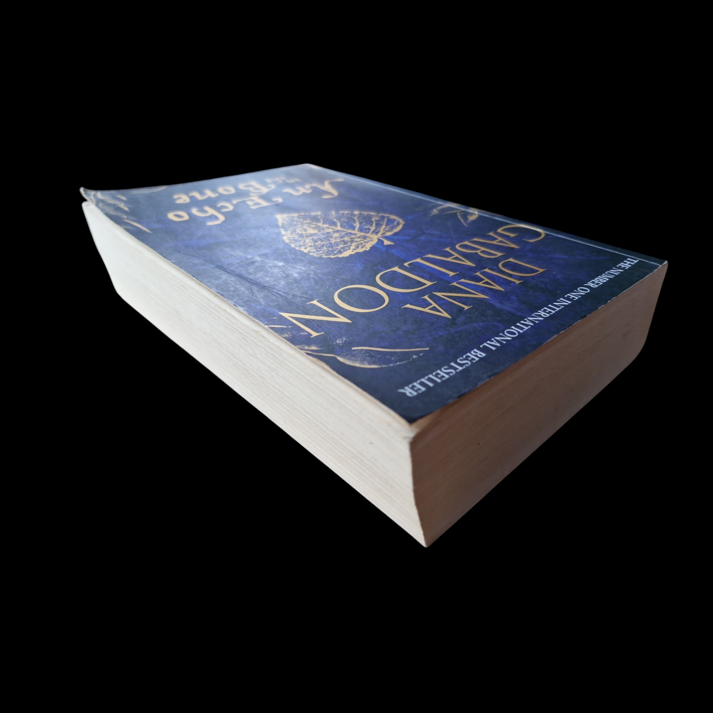 Diana Gabaldon- An Echo In The Bone image 5