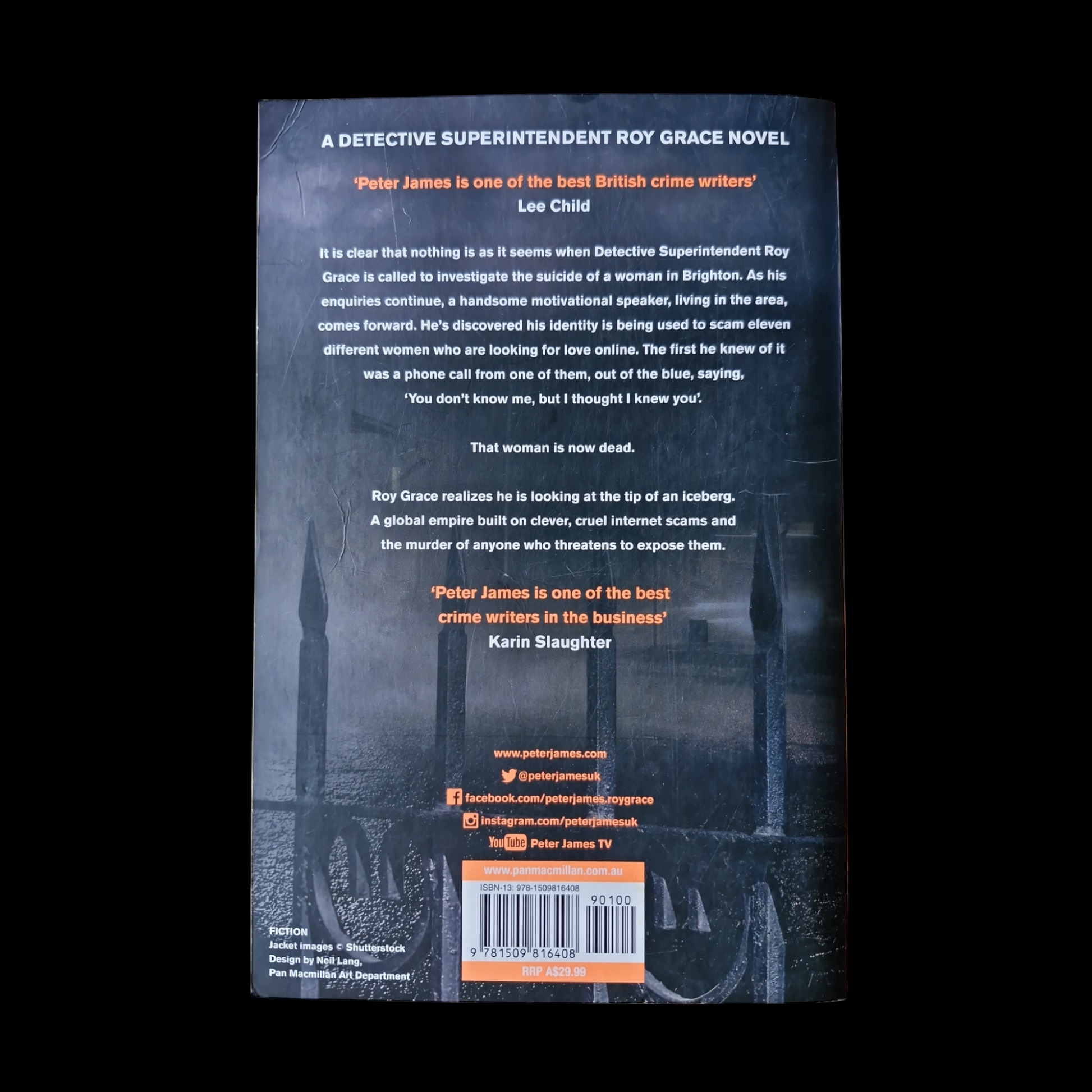 Peter James- Dead At First Sight image 2