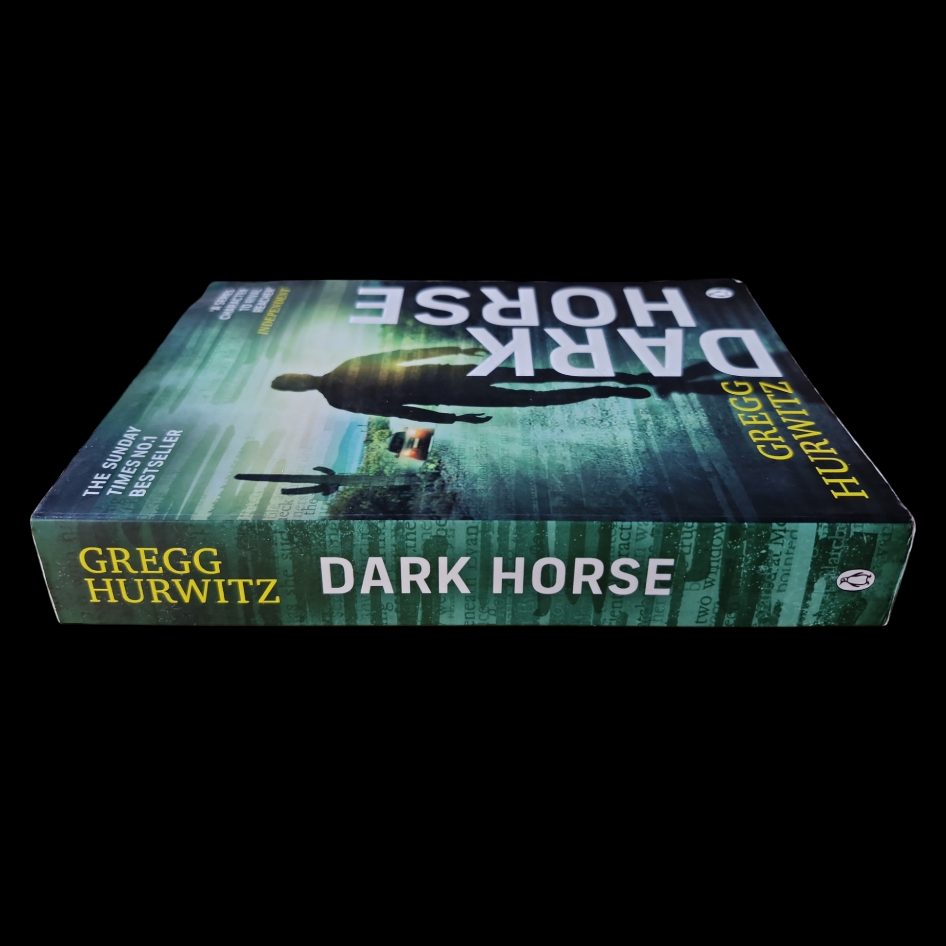 Gregg Hurwitz- Dark Horse image 3