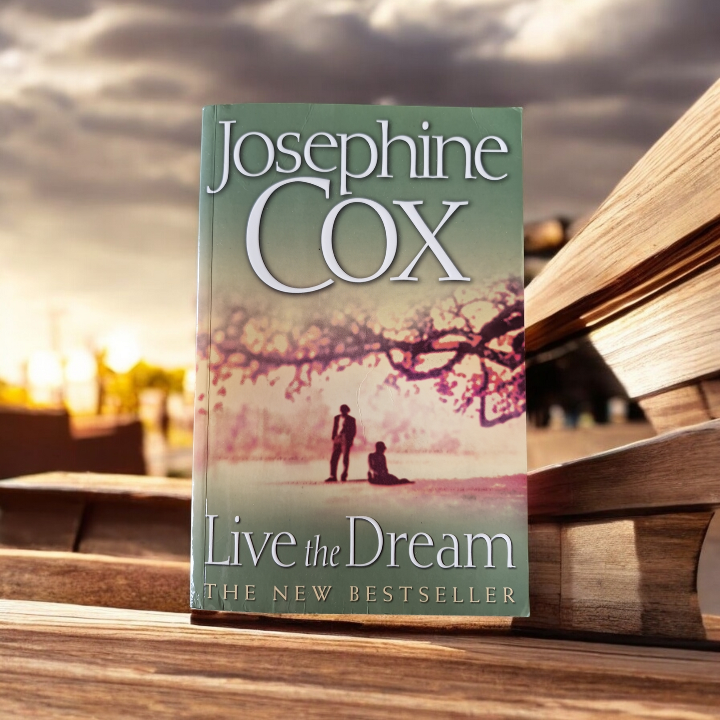 Josephine Cox- Live The Dream image 0
