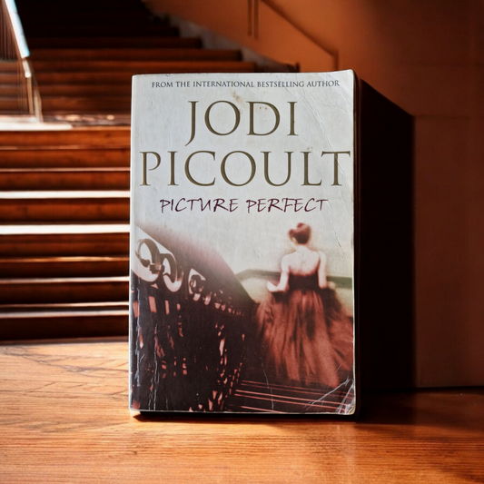 Jodi Picoult- Picture Perfect image 0