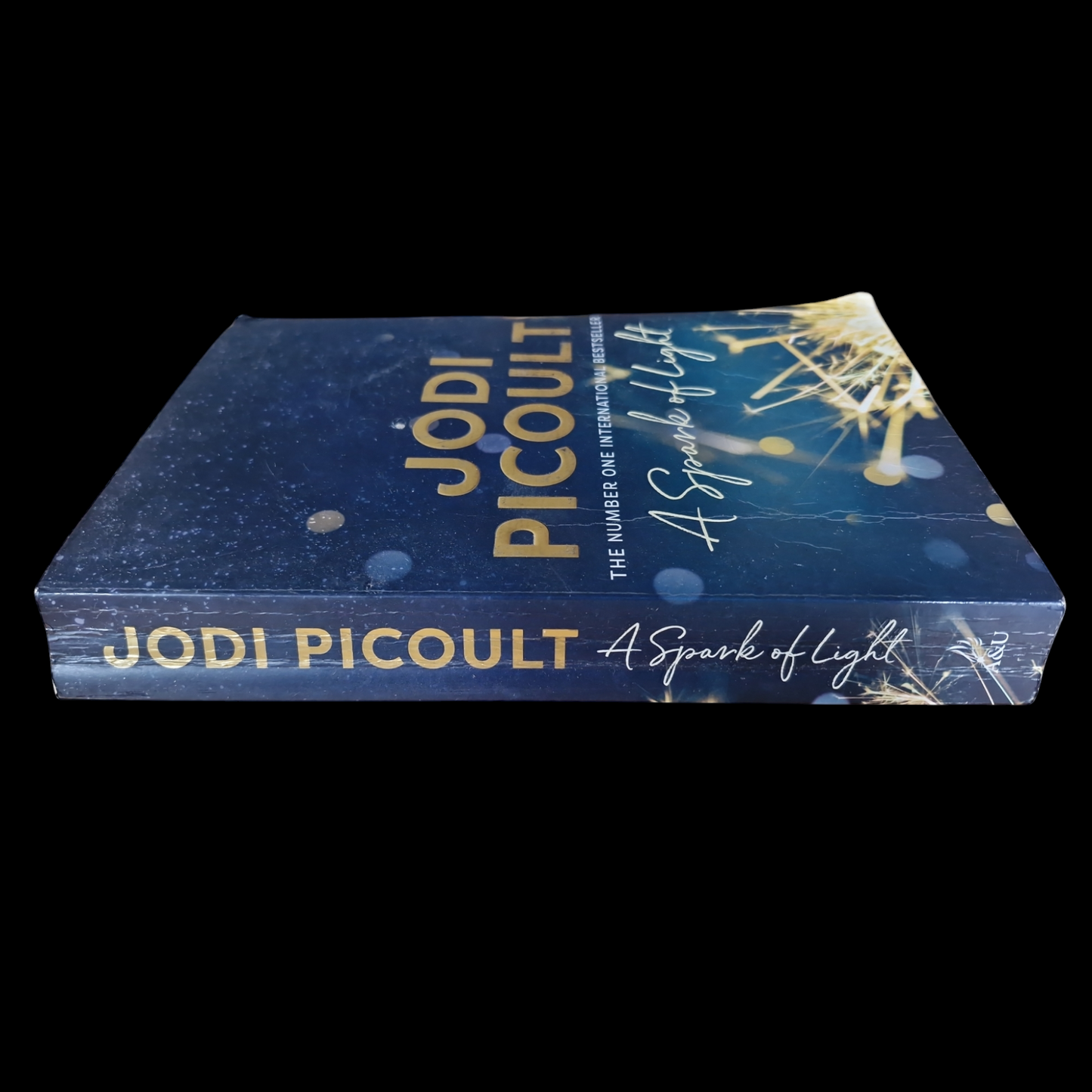 Jodi Picoult- A Sparkle Of Light image 3