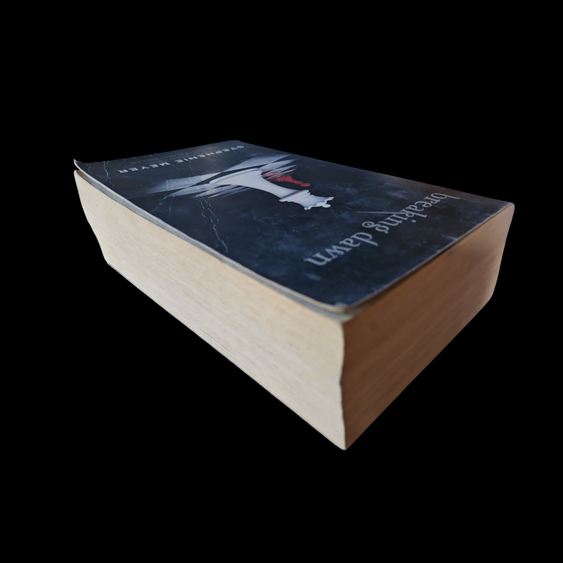 Stephanie Meyer- Breaking Dawn image 5