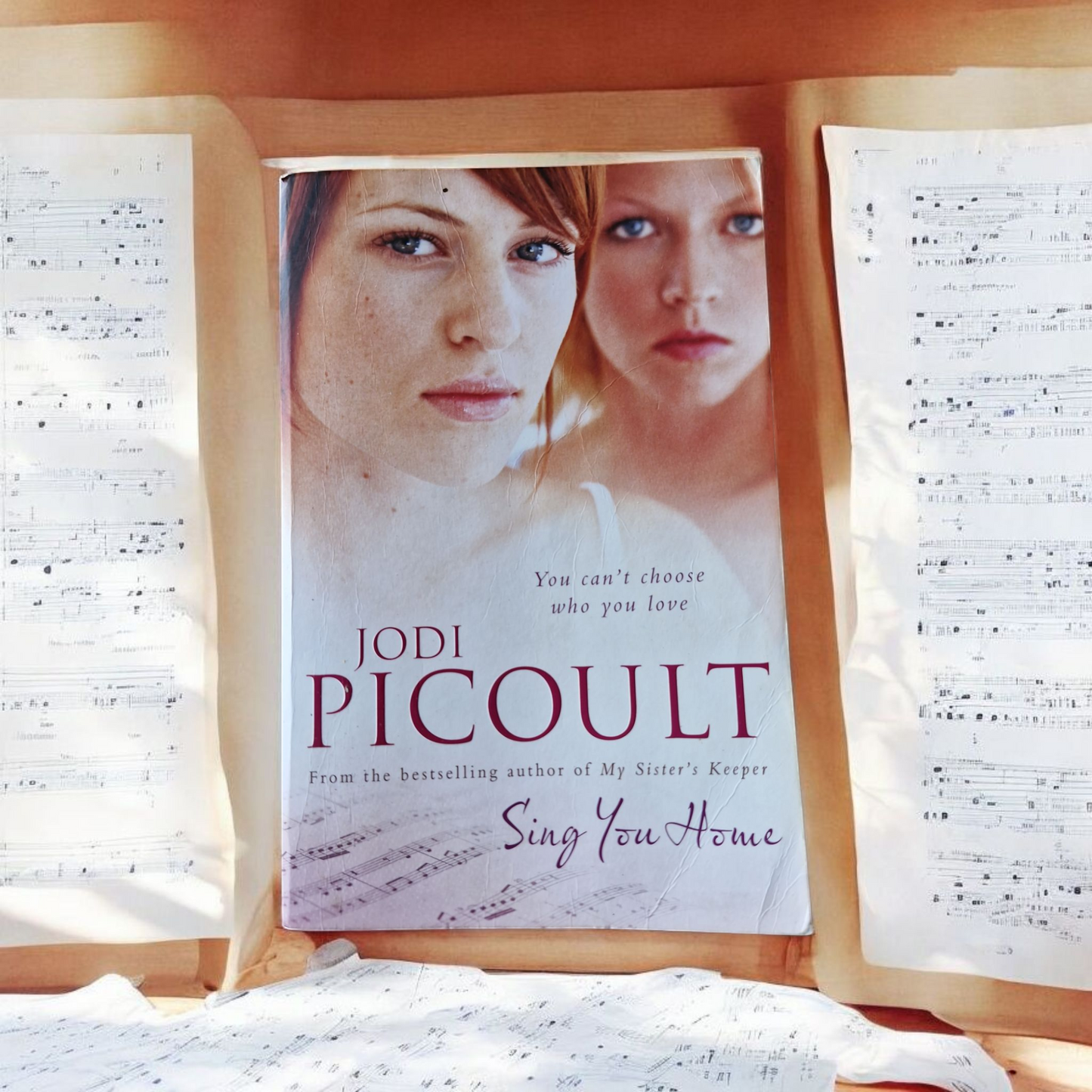 Jodi Picoult- Sing You Home image 0