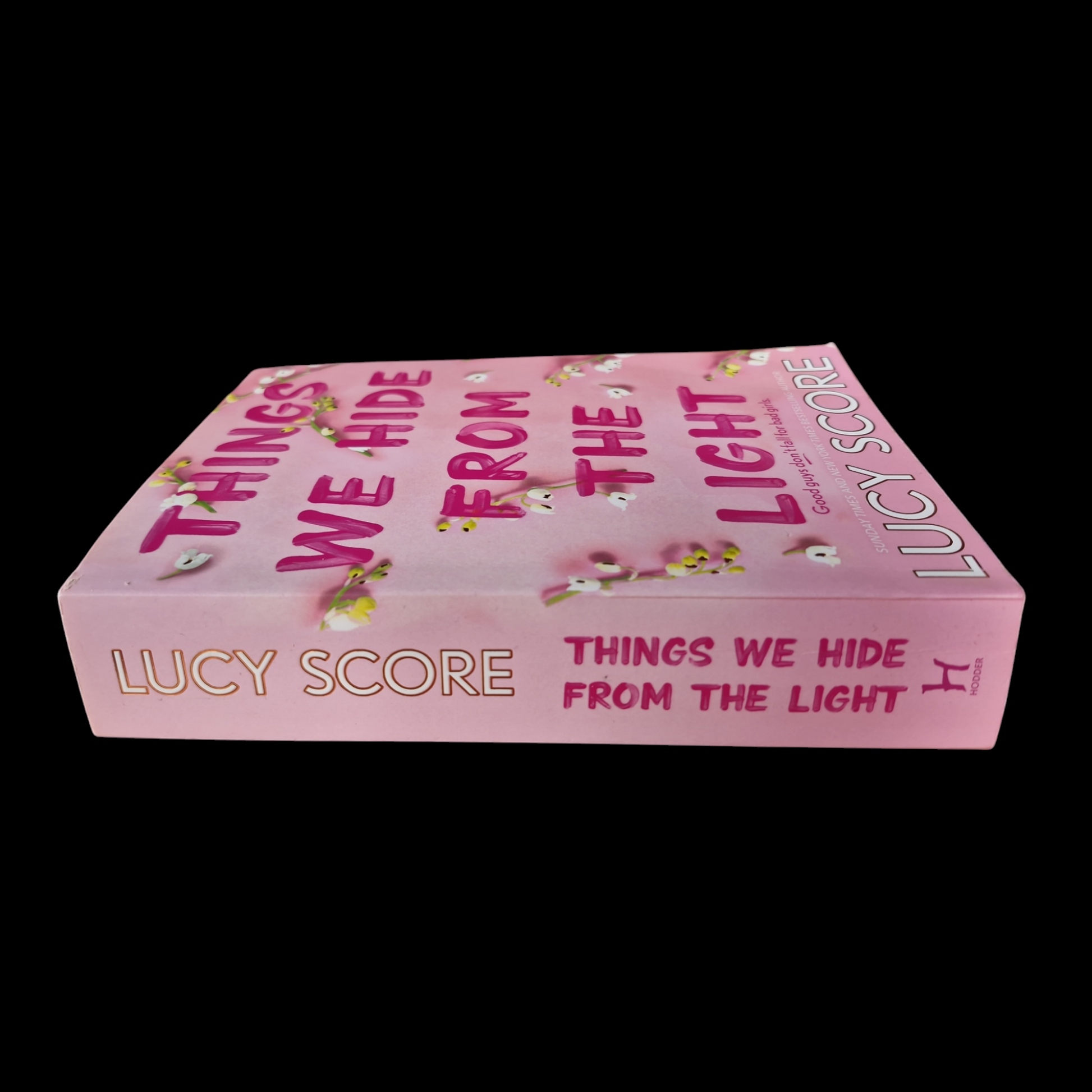 Lucy Score- Things We Hide From The Light image 3