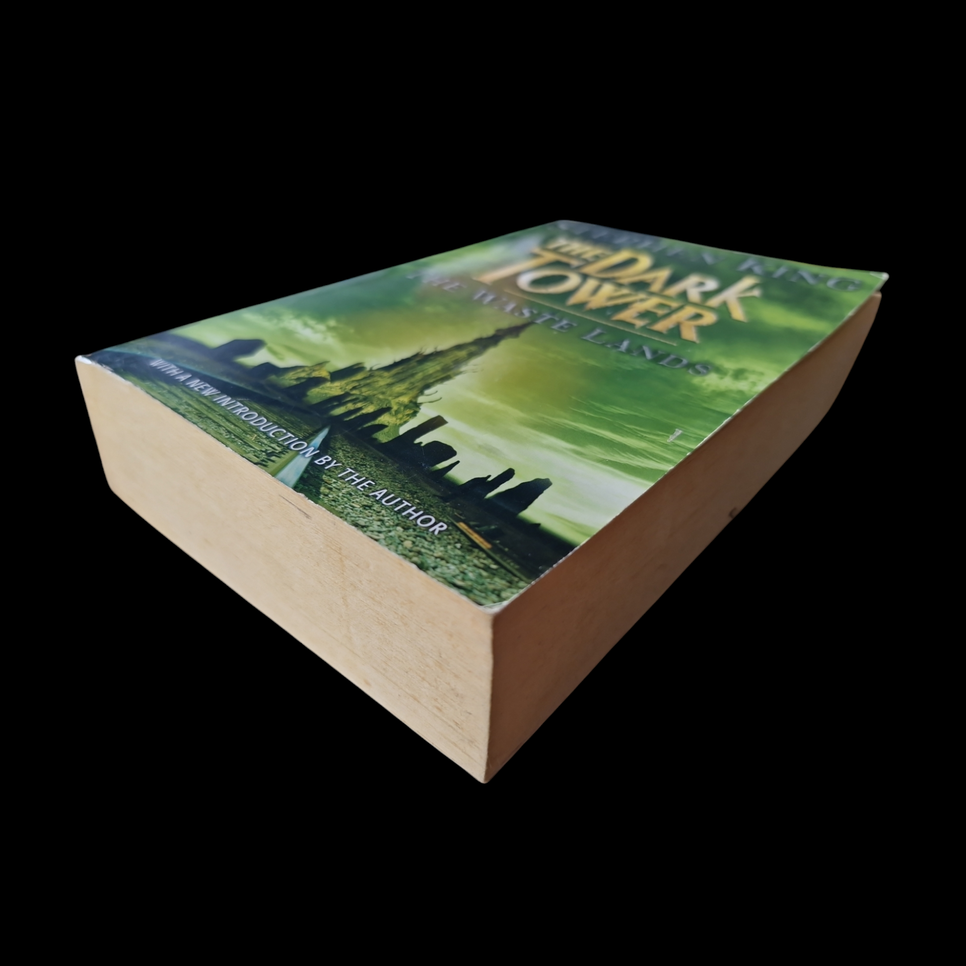 Stephen King- The Dark Tower - The Waste Lands image 4
