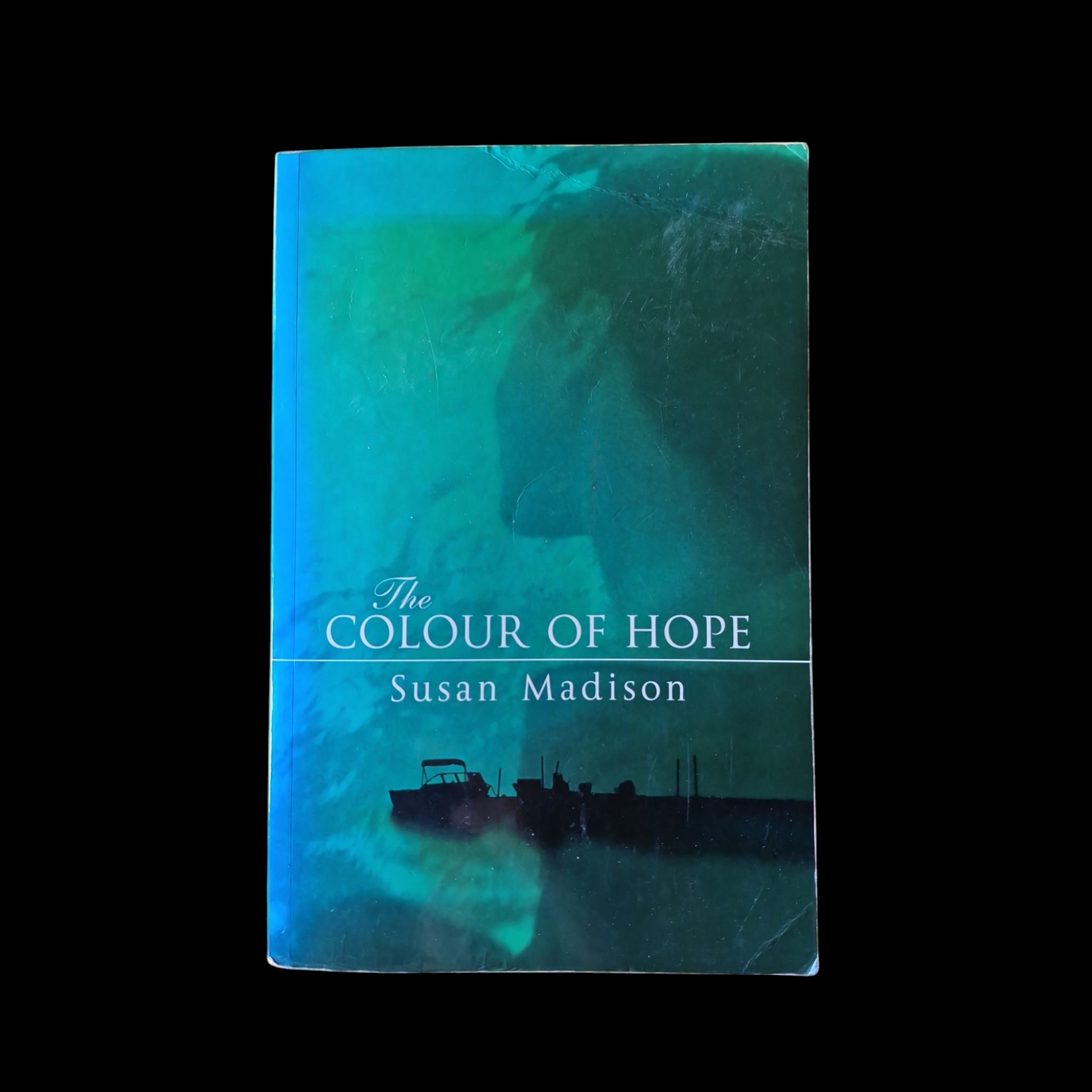 Susan Madison- The Colour Of Hope image 1