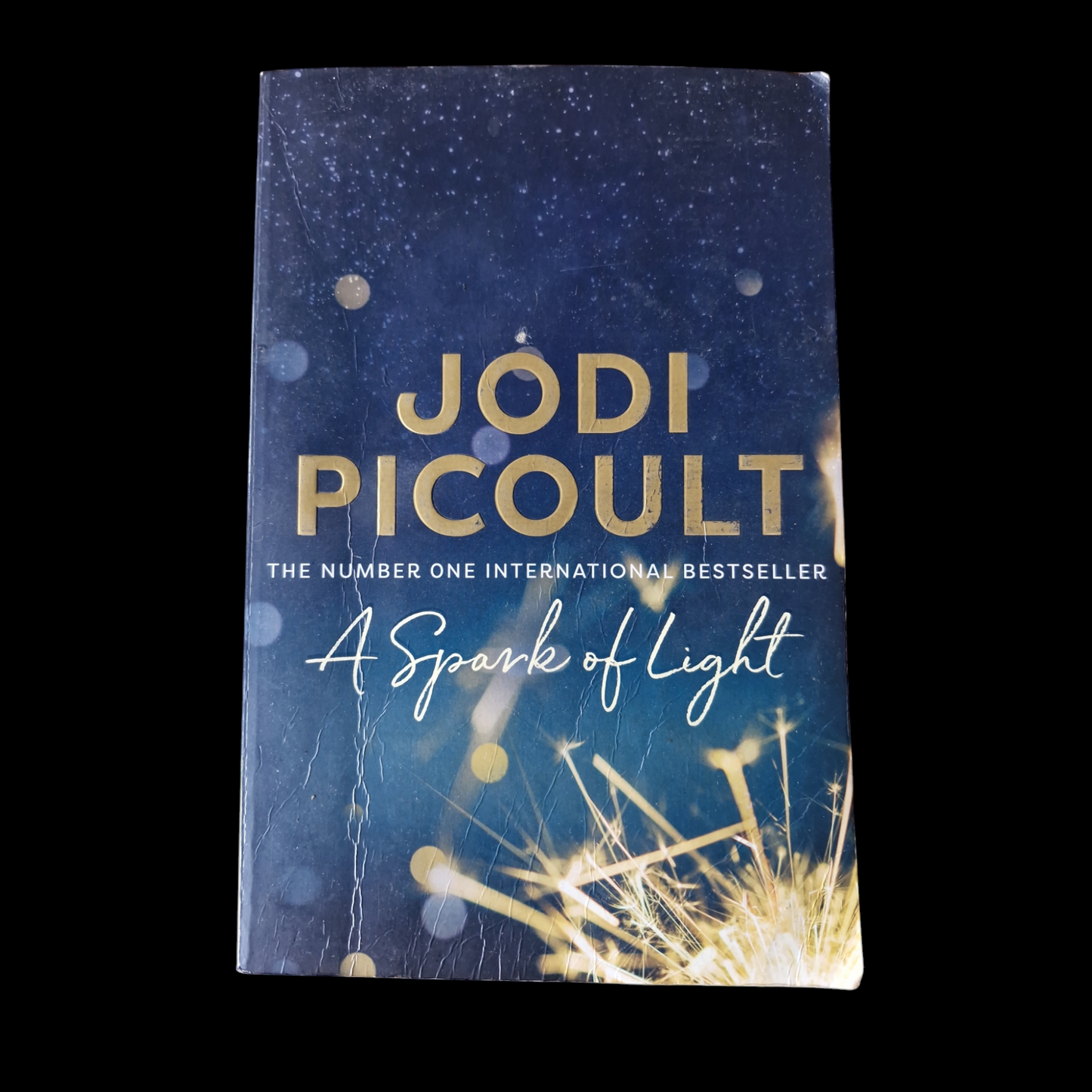 Jodi Picoult- A Sparkle Of Light image 1