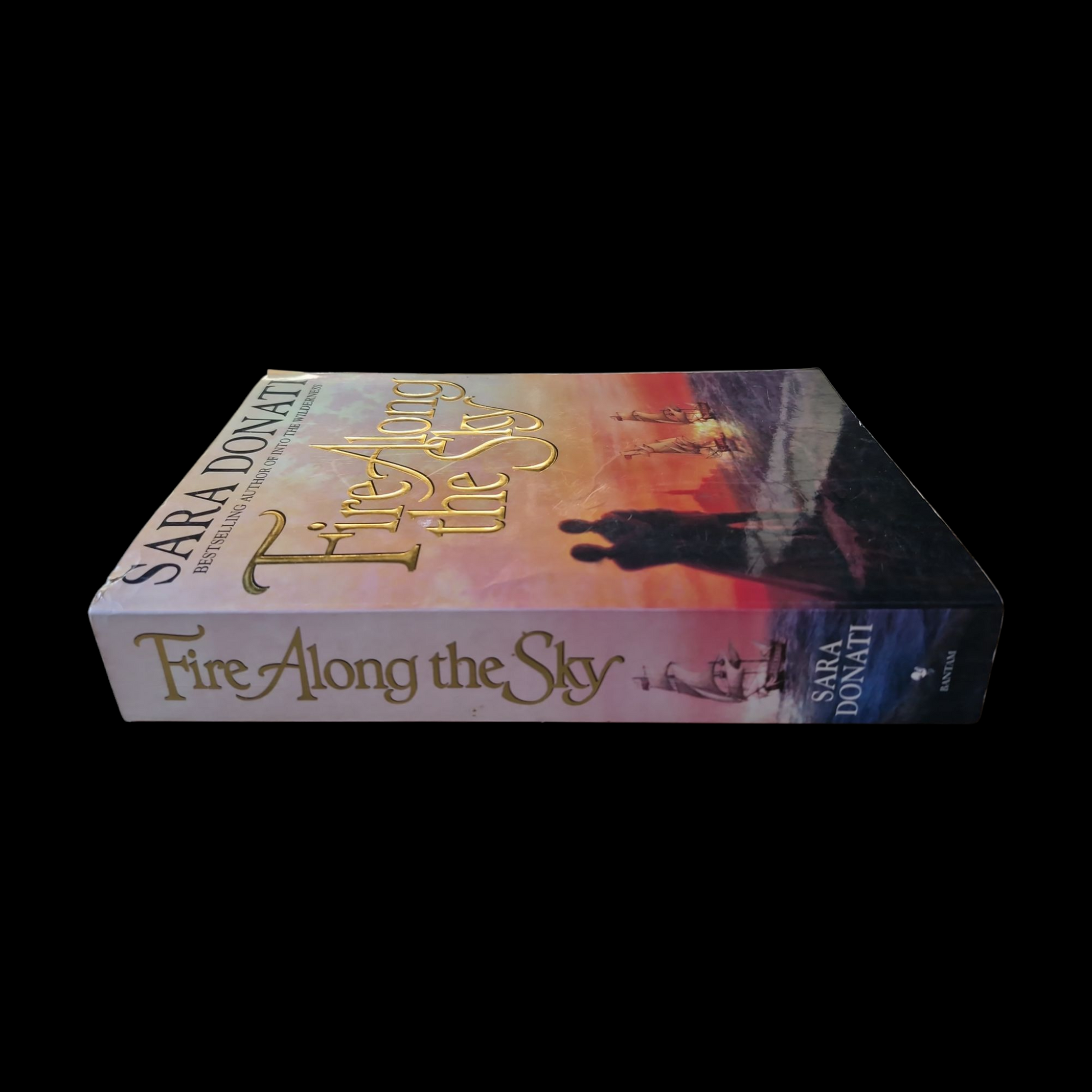 Sara Donati- Fire Along The Sky image 3