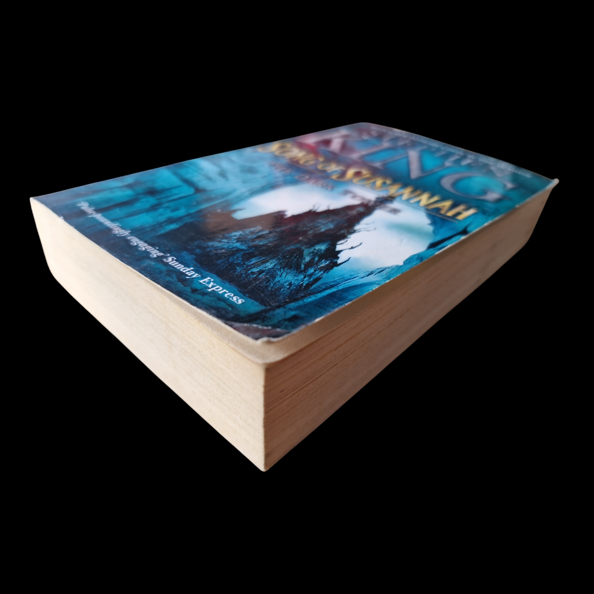 Stephen King- The Dark Tower - Song Of Susannah image 4