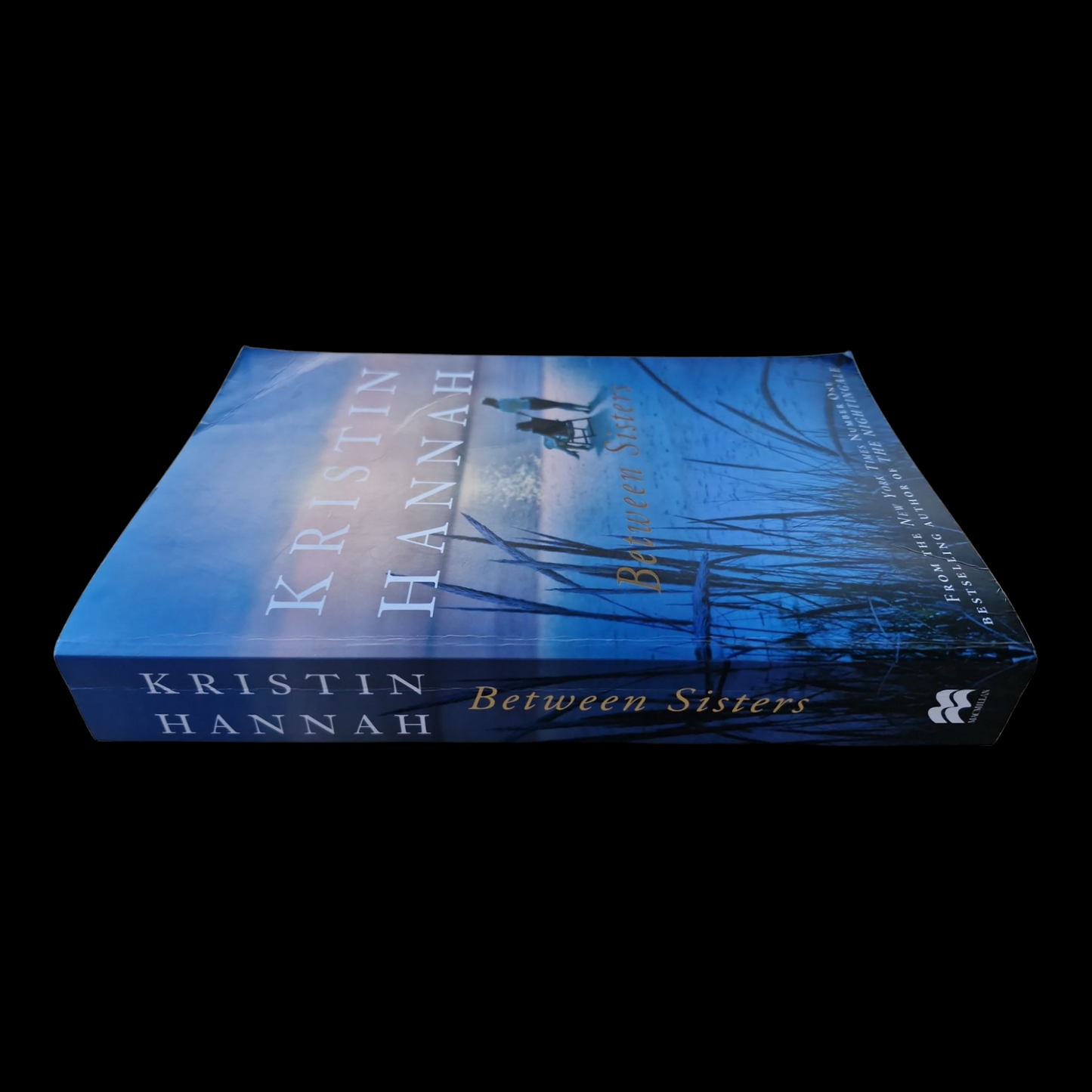 Kristin Hannah- Between Sisters image 3
