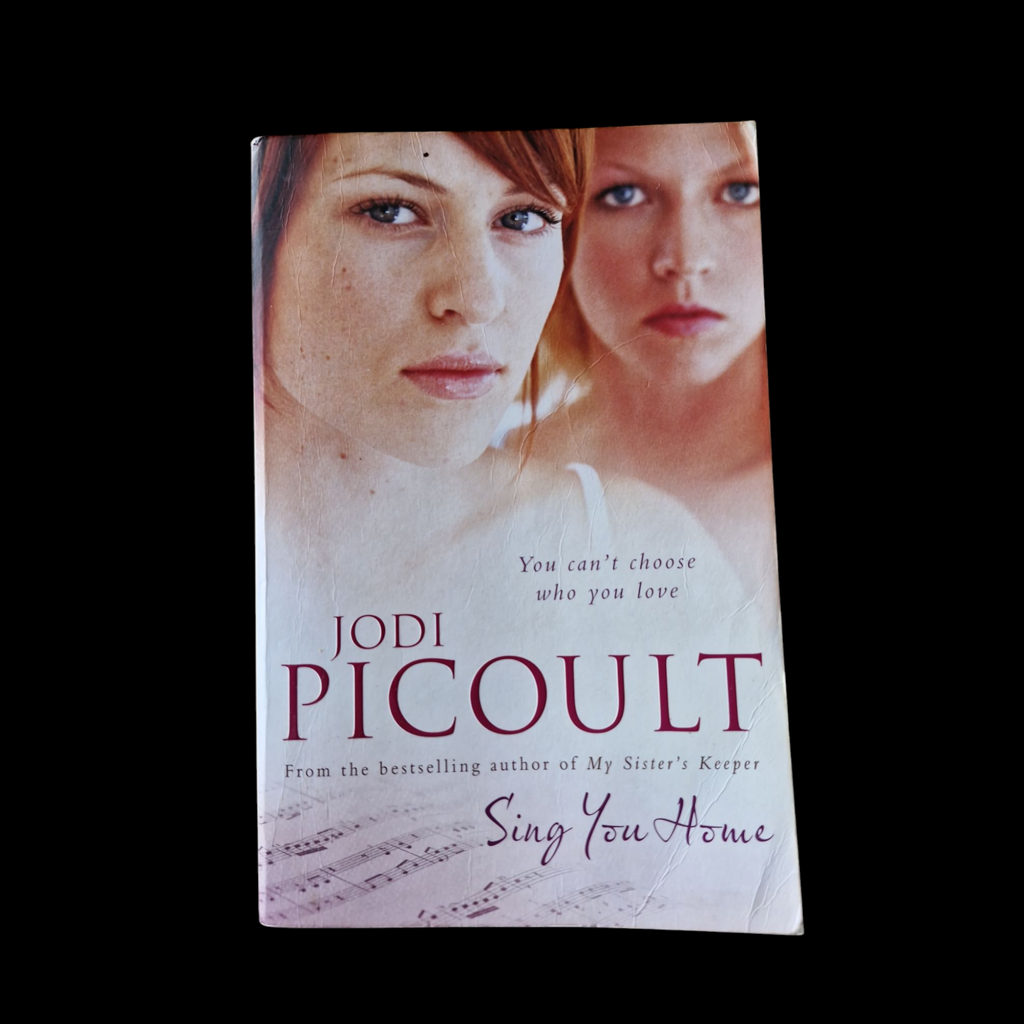Jodi Picoult- Sing You Home image 1