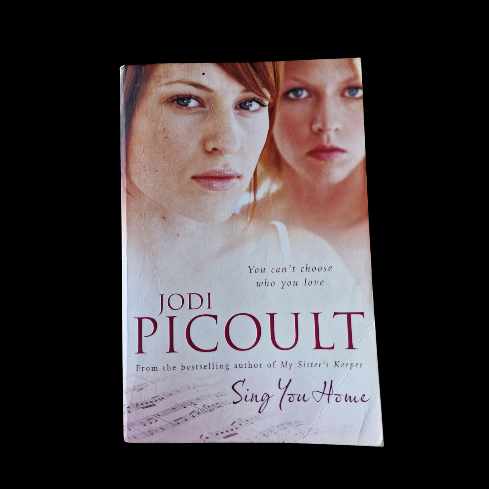 Jodi Picoult- Sing You Home image 1