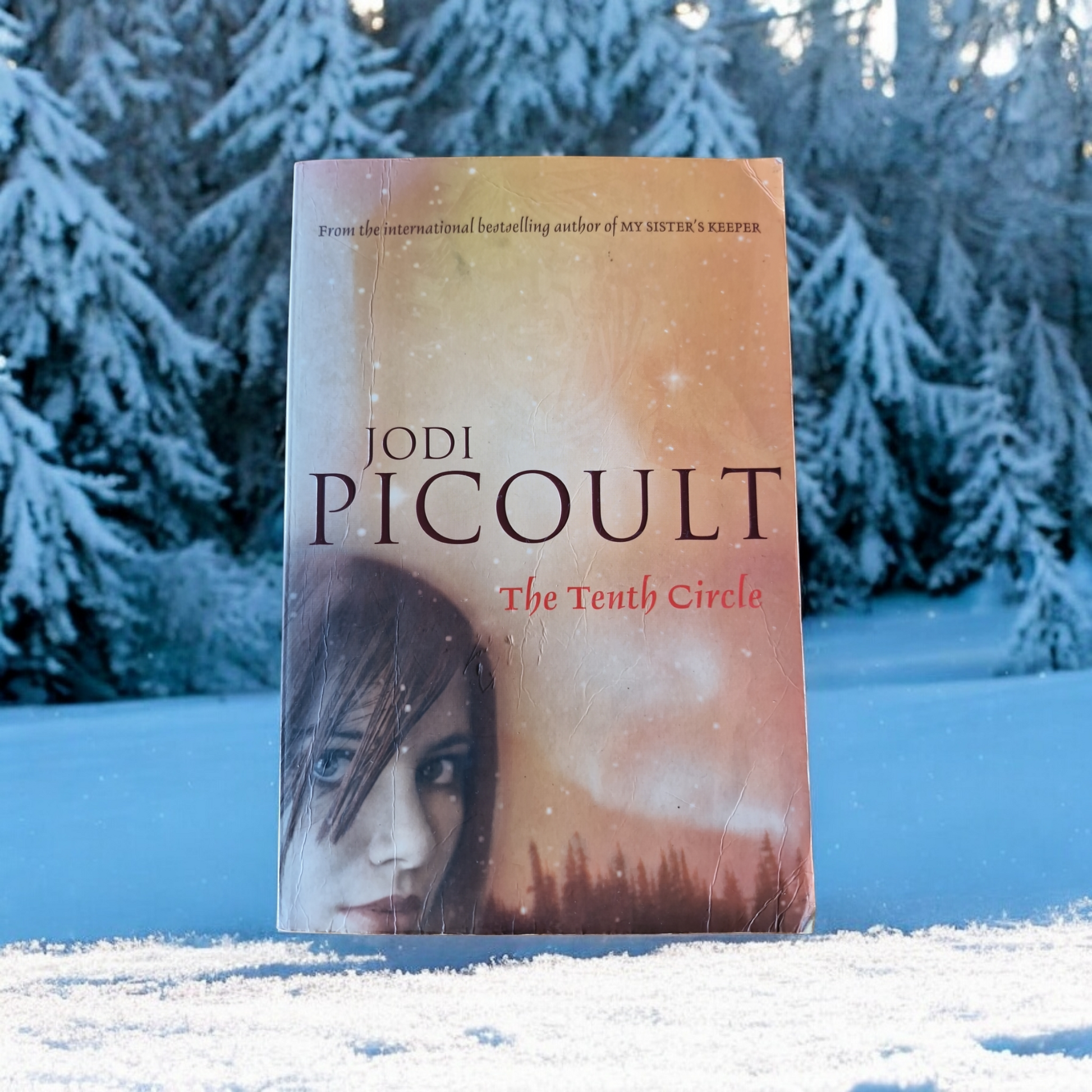 Jodi Picoult- The Tenth Circle image 0