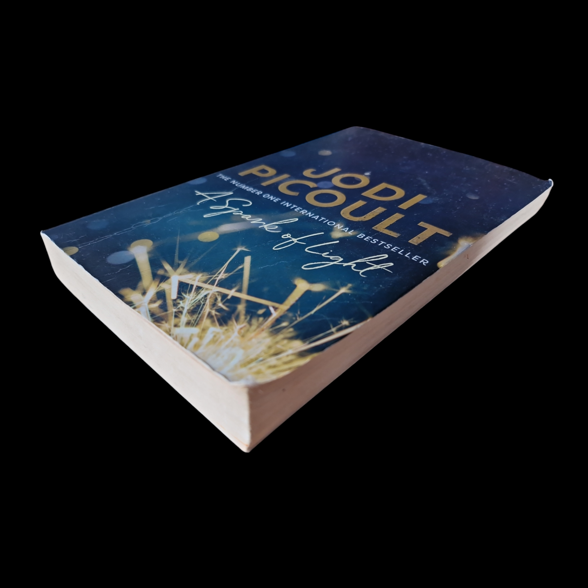Jodi Picoult- A Sparkle Of Light image 4