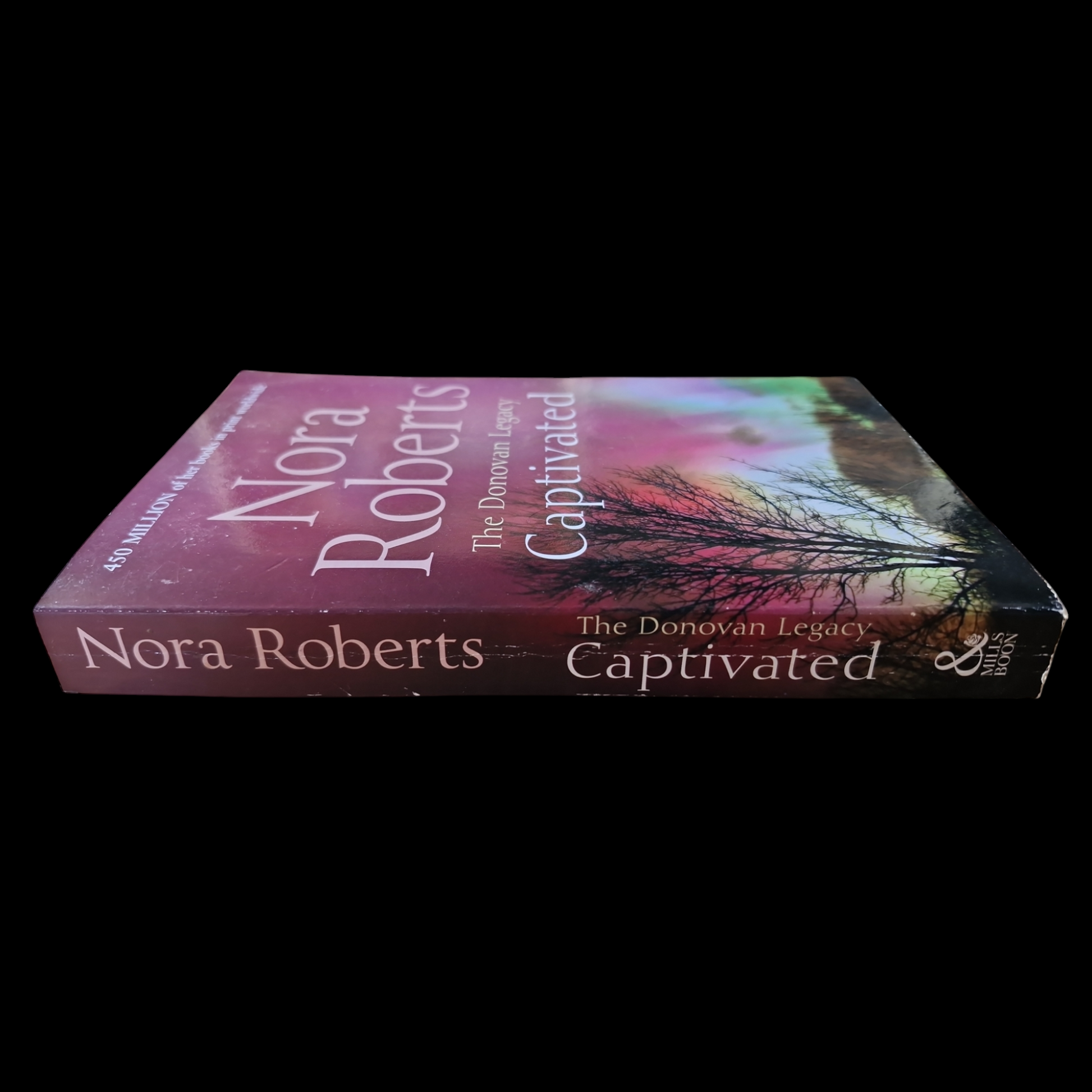 Nora Roberts- The Donovan Legacy - Captivated image 3