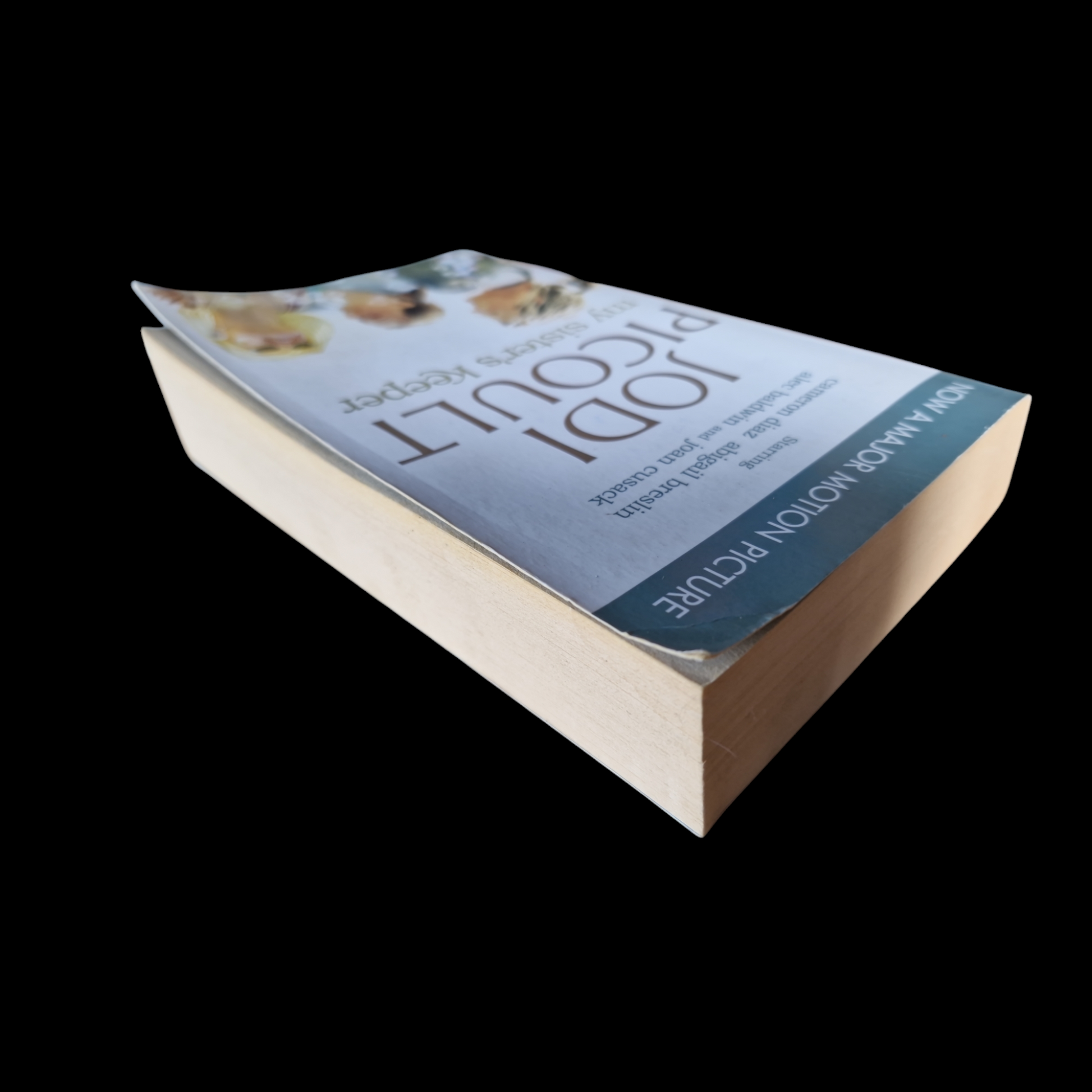 Jodi Picoult- My Sister's Keeper  image 5
