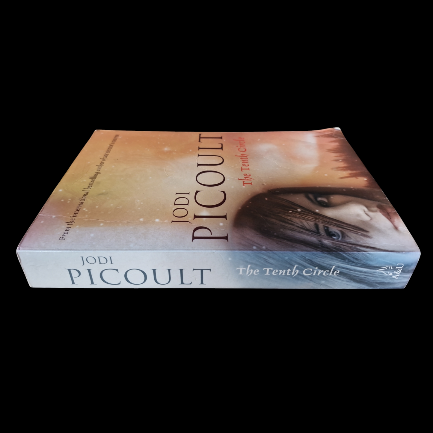 Jodi Picoult- The Tenth Circle image 3
