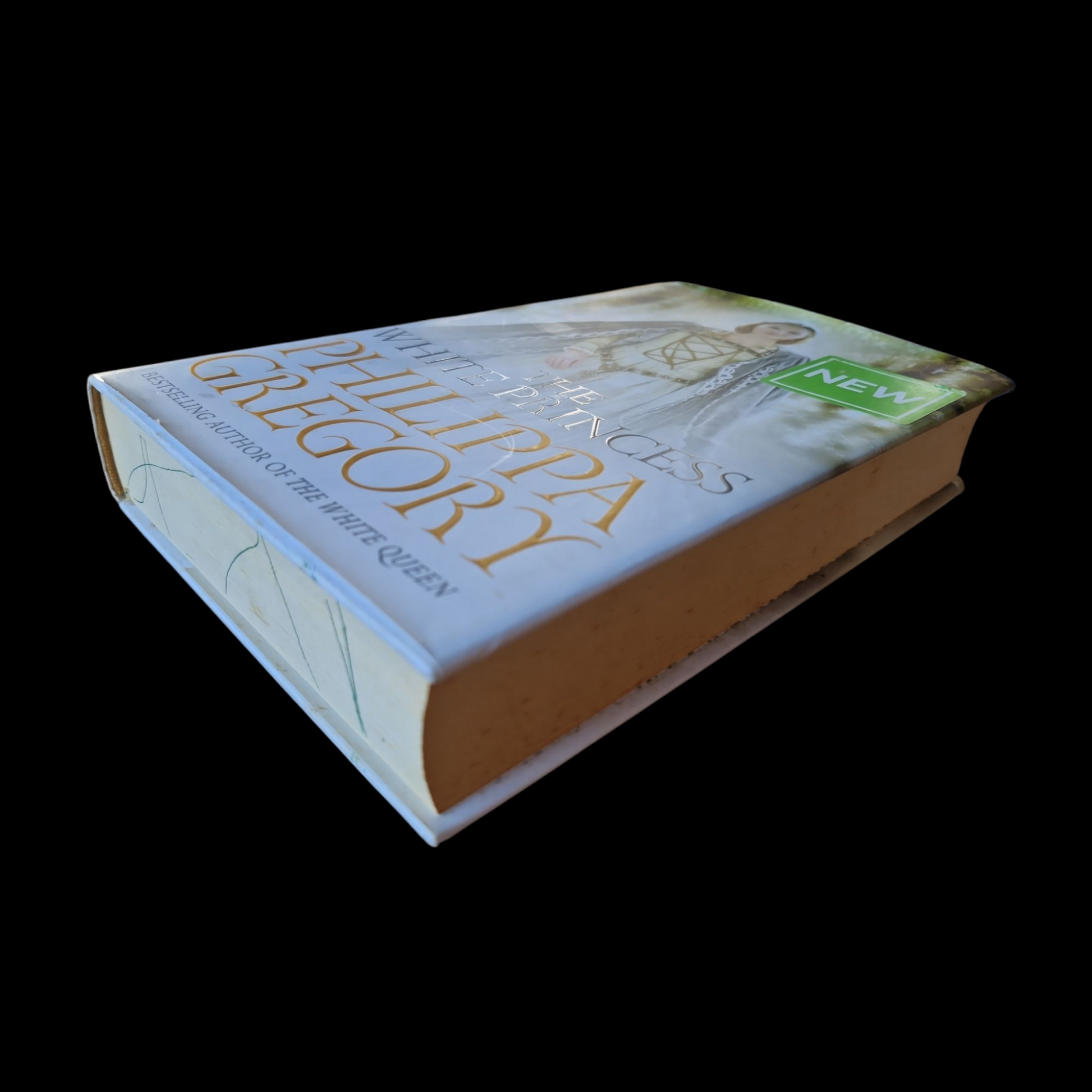 Philippa Gregory- The White Princess  image 5