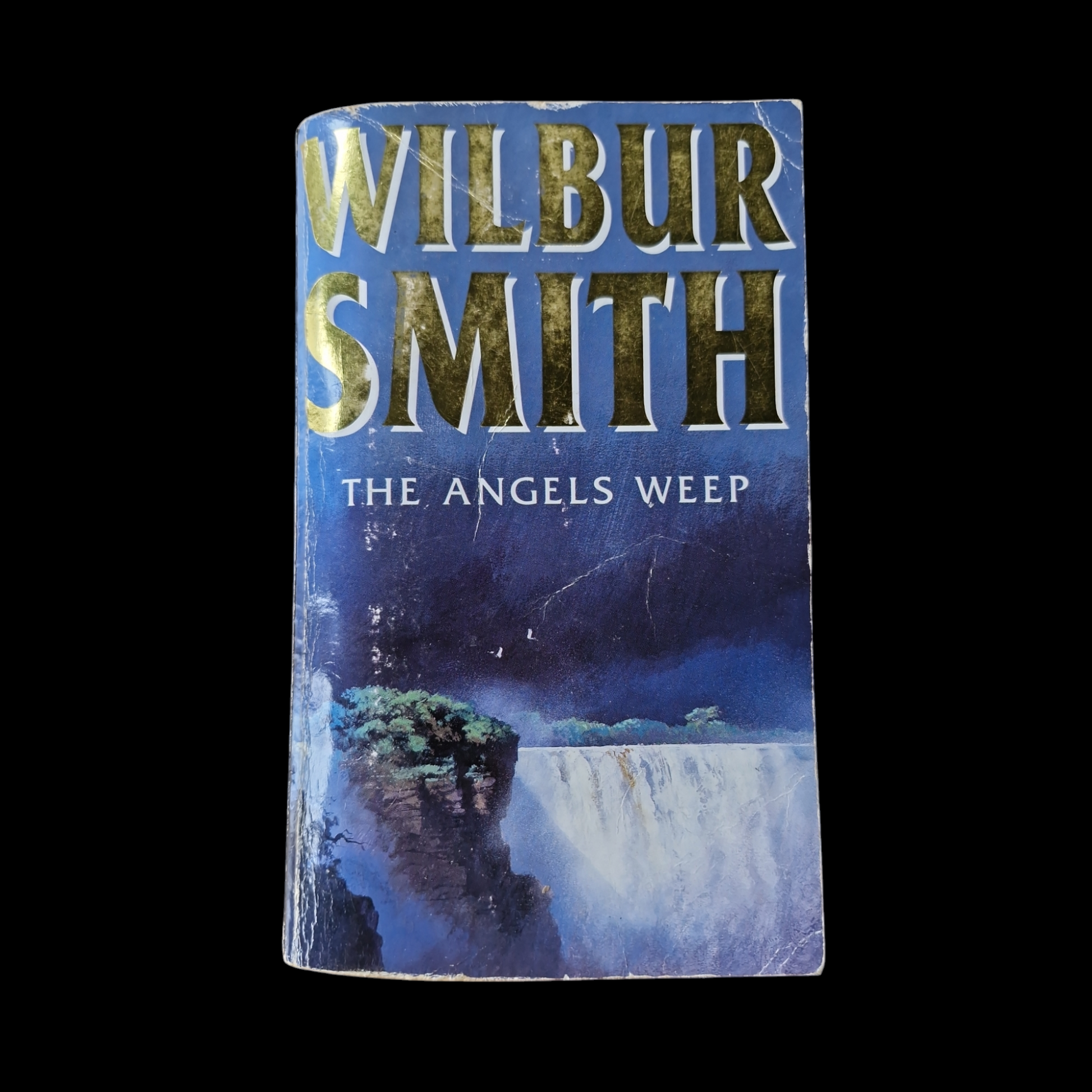 Wilbur Smith- The Angels Weep image 1