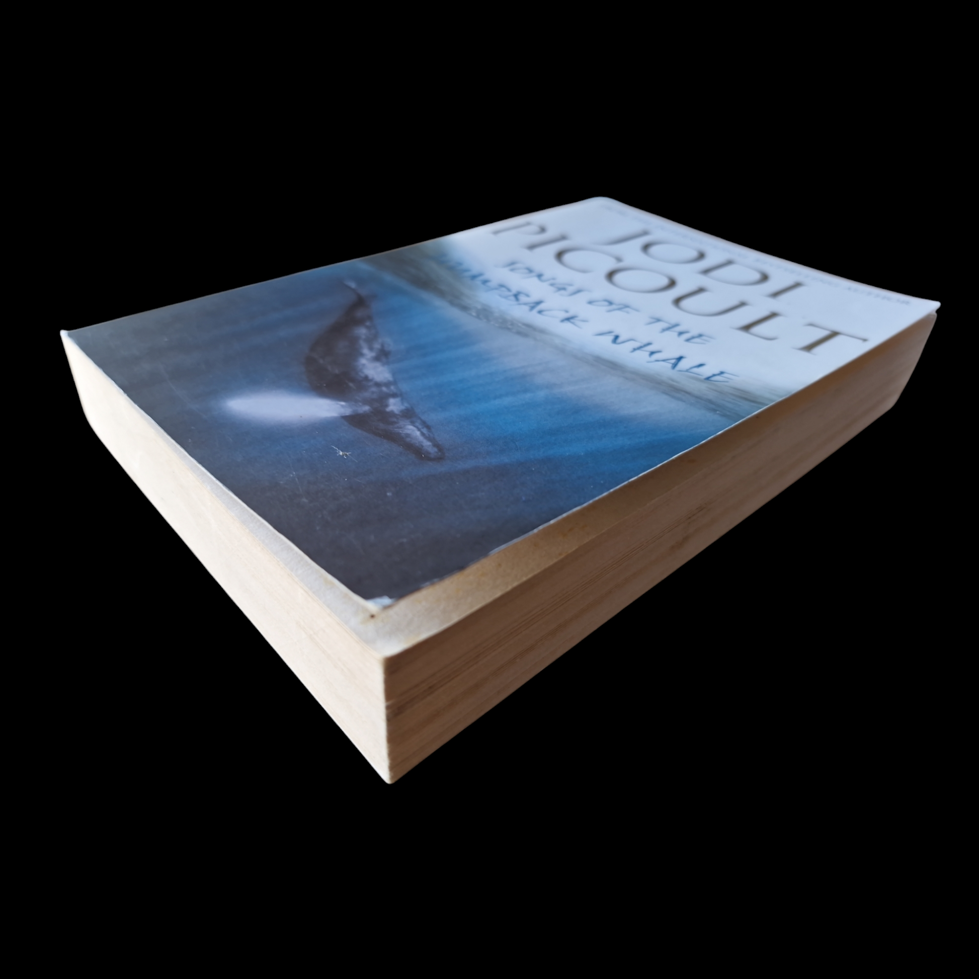 Jodi Picoult- Songs Of The Humpback Whale image 4