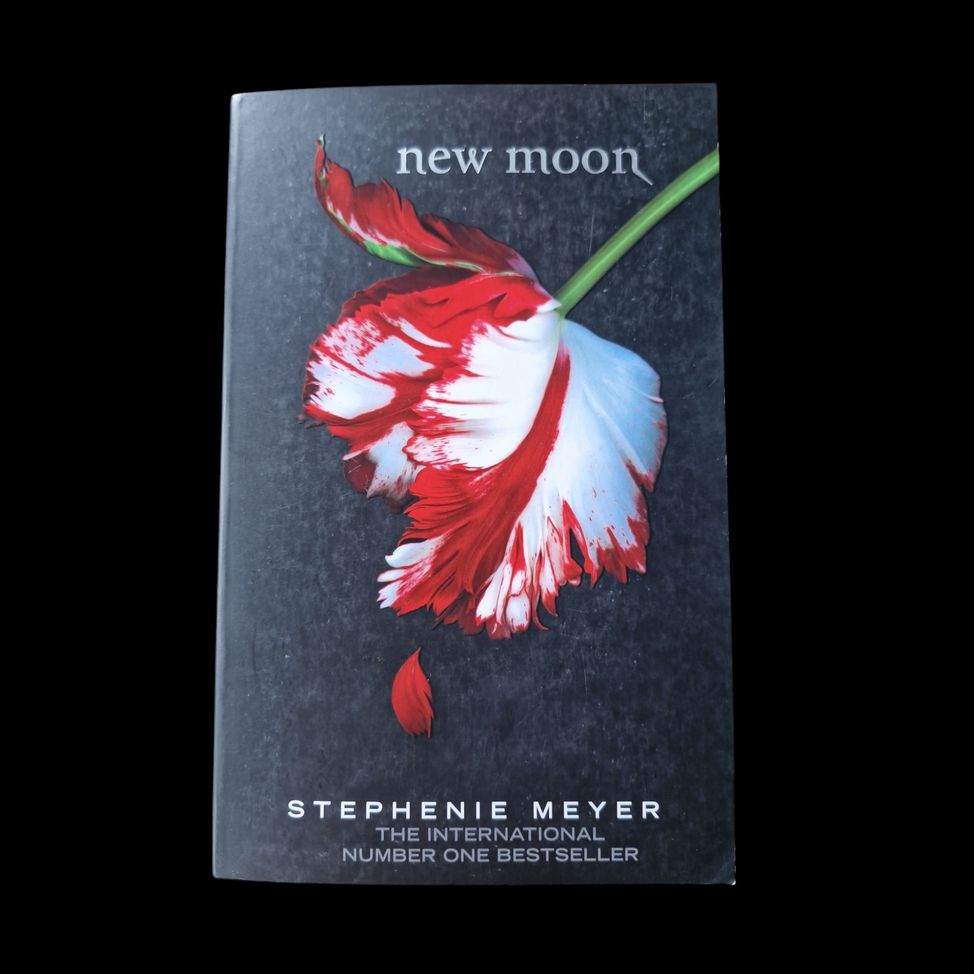 Stephenie Meyer- Twilight Series 4 Book Set image 4