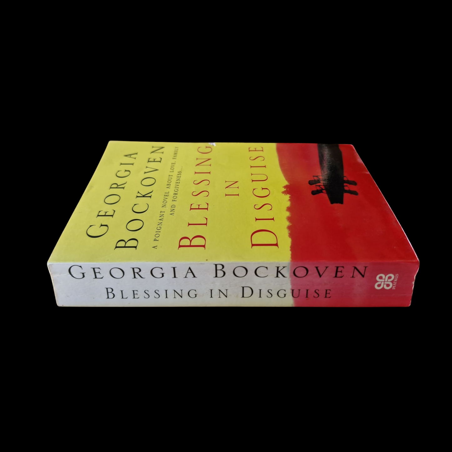 Georgia Bockoven- Blessing In Disguise image 3